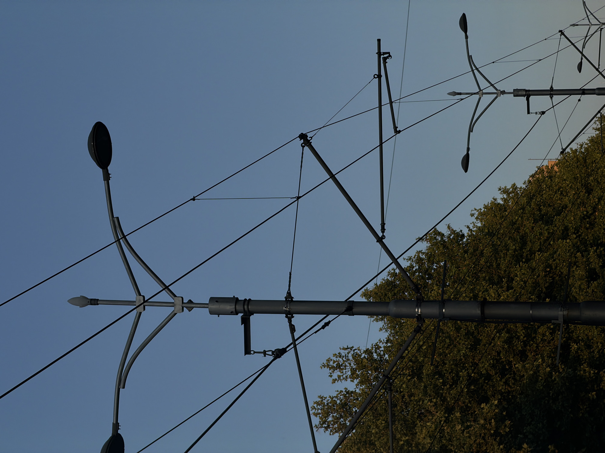 The image shows overhead tram lines and street lighting in Belgrade, Serbia. The tram lines are a network of black cables suspended by metal poles and supports, interspersed with distinctive ornate streetlights, each with a central light fixture surrounded by curved metal arms and topped with a pointed finial. A leafy tree appears in the background on the right side of the image. The sky is a clear, pale blue. The image is taken from a low angle, looking upwards.