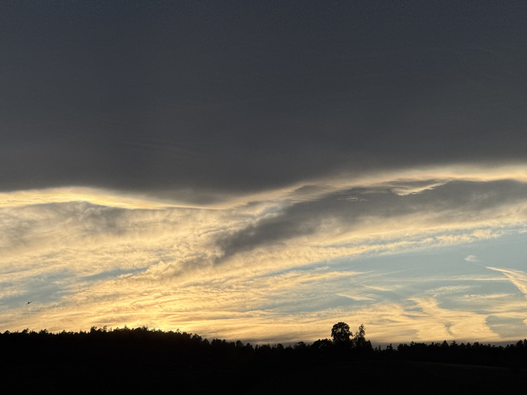This is a photograph of a dramatic sunset over a dark silhouette of trees, likely in or near Lufingen, Switzerland. The sky is filled with a complex interplay of clouds. The uppermost portion of the sky is a deep, dark gray, suggesting storm clouds or the late stages of twilight. Beneath this, a band of bright, golden clouds stretches across the horizon, catching the last rays of the setting sun. Wispy, lighter clouds are interspersed within this golden band, creating a textured and dynamic appearance. Further down, the sky transitions to a pale blue, with more scattered, wispy clouds. In the foreground, a dense line of trees forms a dark silhouette against the brightly lit sky, obscuring the ground below. One distinct, larger tree stands out from the rest of the treeline on the right side of the frame. On the far left, a small, dark object, possibly a bird or an aircraft, is visible in flight against the lighter clouds. The overall impression is one of a serene yet powerful natural spectacle.