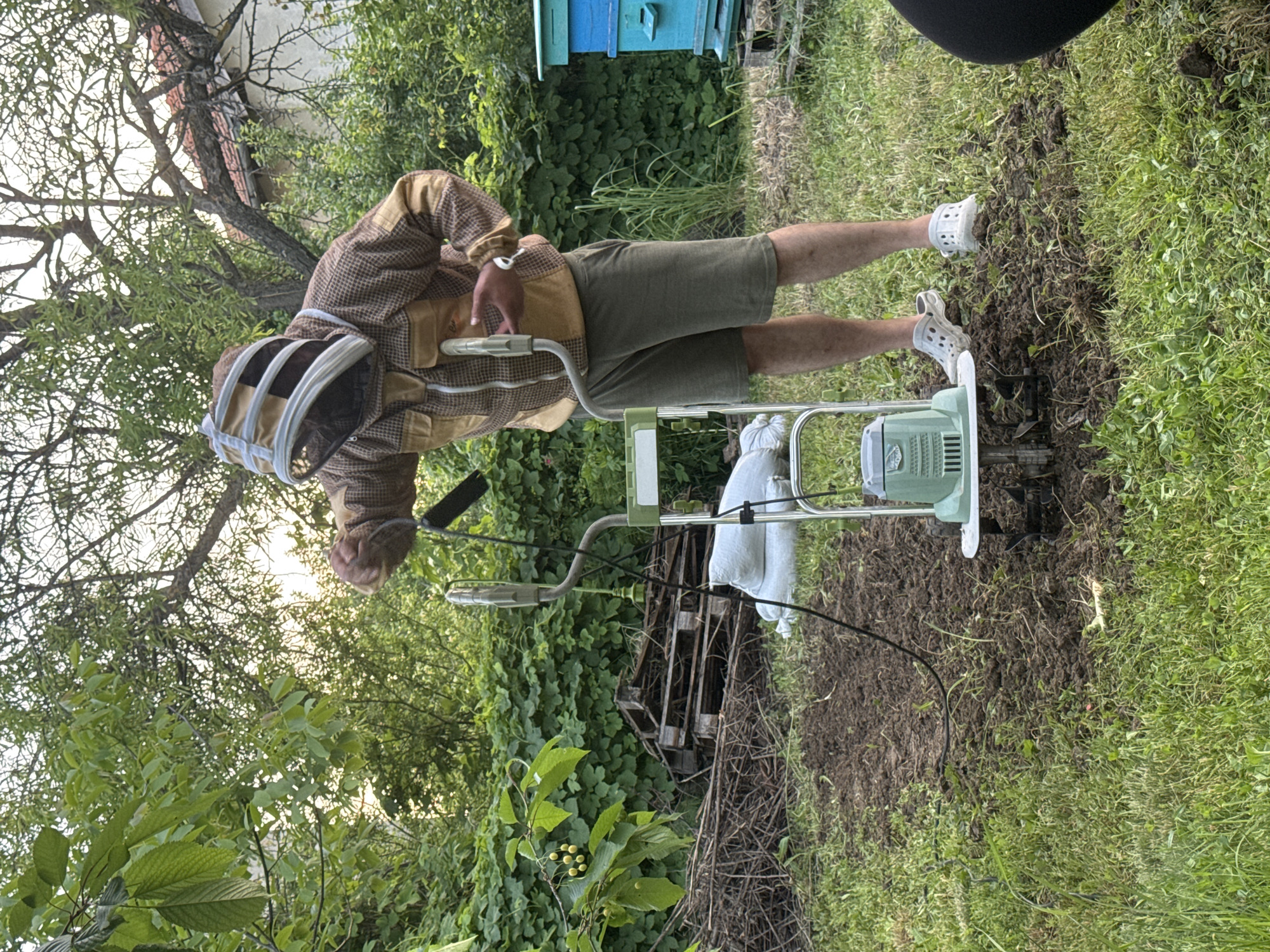 A man wearing beekeeping gear operates a small tiller in a grassy yard. The man is wearing a protective suit with a mesh hood and white clogs. He is tilling a narrow strip of soil between green grass. Behind him are a blue beehive, overgrown vegetation, and a wooden pallet. The location is consistent with a residential area in Varna, Bulgaria, based on the style of the buildings and flora present.