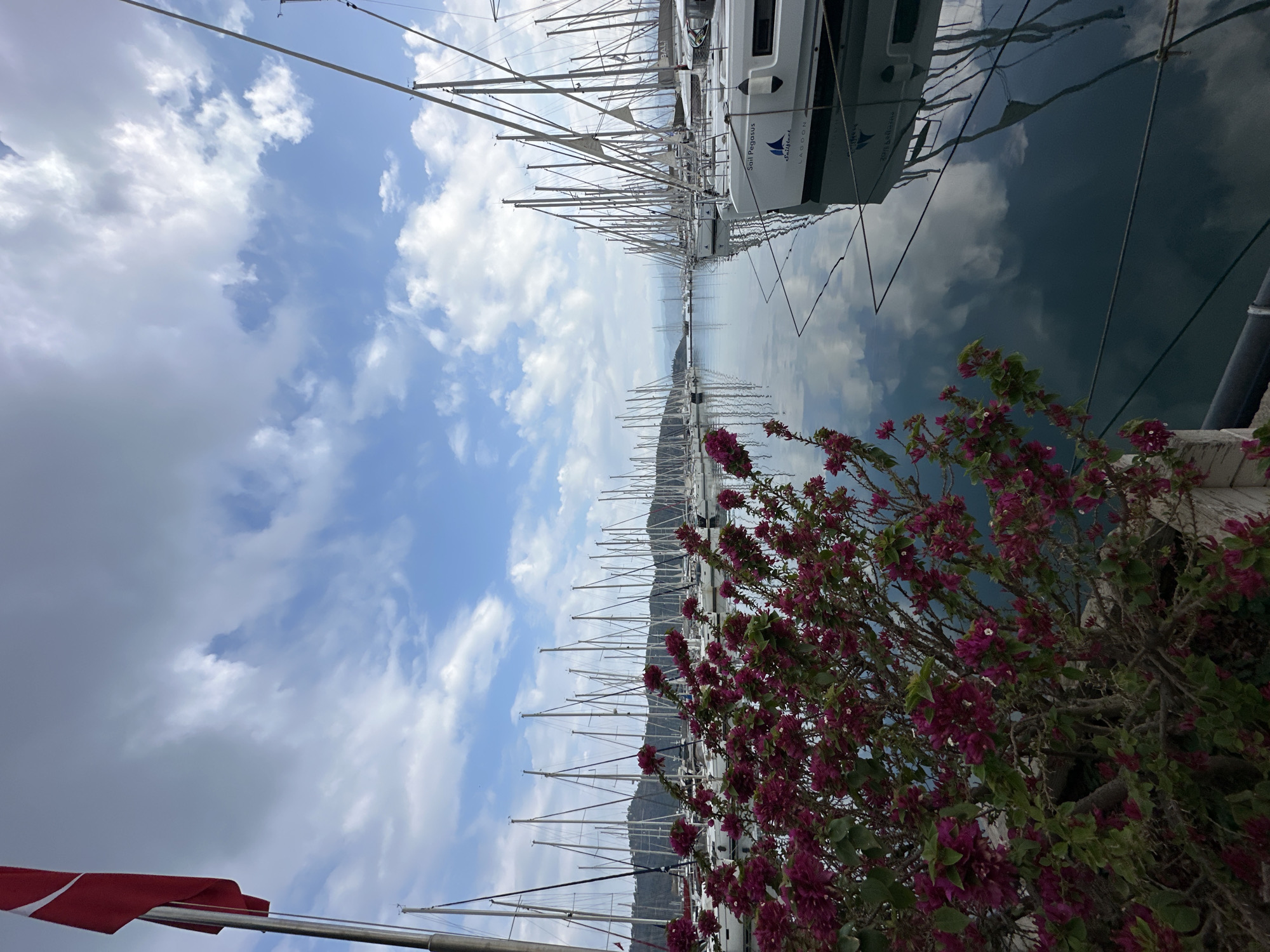 The image depicts a harbor scene in Fethiye, Turkey, showcasing numerous sailboats docked at a marina. The masts of the boats create a dense, linear pattern, stretching into the background. The water reflects the sky, which is partially covered with white clouds. A cluster of bougainvillea flowers, vibrant with magenta hues, is in the foreground. A Turkish flag is visible, partially obscuring the view in the bottom left corner. The overall setting suggests a sunny day at a bustling harbor.