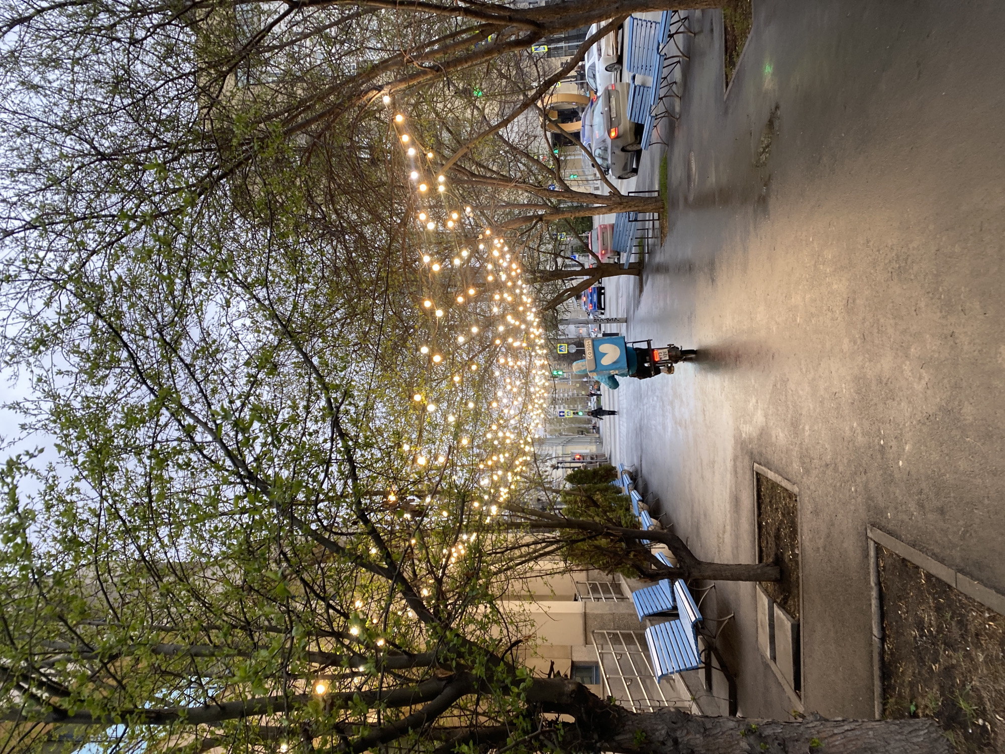 The image portrays an urban street scene at dusk or early evening, following rainfall, as indicated by the wet asphalt and concrete surfaces. The street is flanked by trees with bare branches beginning to sprout small, light green leaves, suggesting early spring. Warm-toned string lights are gracefully strung between the trees, illuminating the path and contributing to a festive or cozy atmosphere.
On one side of the street, there is a sidewalk furnished with several light blue wooden benches, set against the backdrop of multi-story buildings. On the opposite side, a roadway is visible with cars, some parked and others in motion.
In the foreground, a delivery person on a motorbike or scooter is moving away from the viewer. The vehicle carries a prominent light-blue delivery box featuring a white logo, identifiable as the Yandex Food symbol (a stylized heart). Partial Cyrillic text "GОТOЧИ" is visible on the side of the box. The motorbike's license plate, "973 17E," is also legible. Further down the street, near green traffic lights, a pedestrian can be seen, and a blue square traffic sign indicating a pedestrian crossing is present.
The combination of artificial lighting, nascent foliage, and the damp environment creates a distinct, tranquil urban mood. This scene is located in Yekaterinburg, Russia.