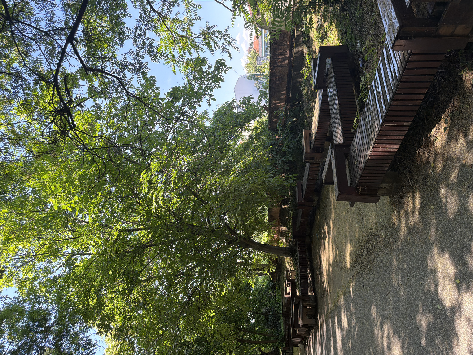 The image depicts an outdoor seating area in a park or garden in Pazardzhik, Bulgaria. In the foreground, a paved pathway is visible, dappled with sunlight filtering through the leaves of overhanging trees. To the right of the path, a series of segmented wooden benches are arranged in a zig-zag pattern, with some appearing wet, possibly from recent rain. Behind the benches, a low, rough-hewn stone or concrete wall separates the seating area from a more densely vegetated area. Further back, large trees with lush green foliage dominate the scene, casting shadows on the ground. In the distance, behind the trees and wall, glimpses of buildings, including a white structure and a building with a tiled roof, are visible against a clear blue sky. The overall impression is of a quiet, shaded public space.