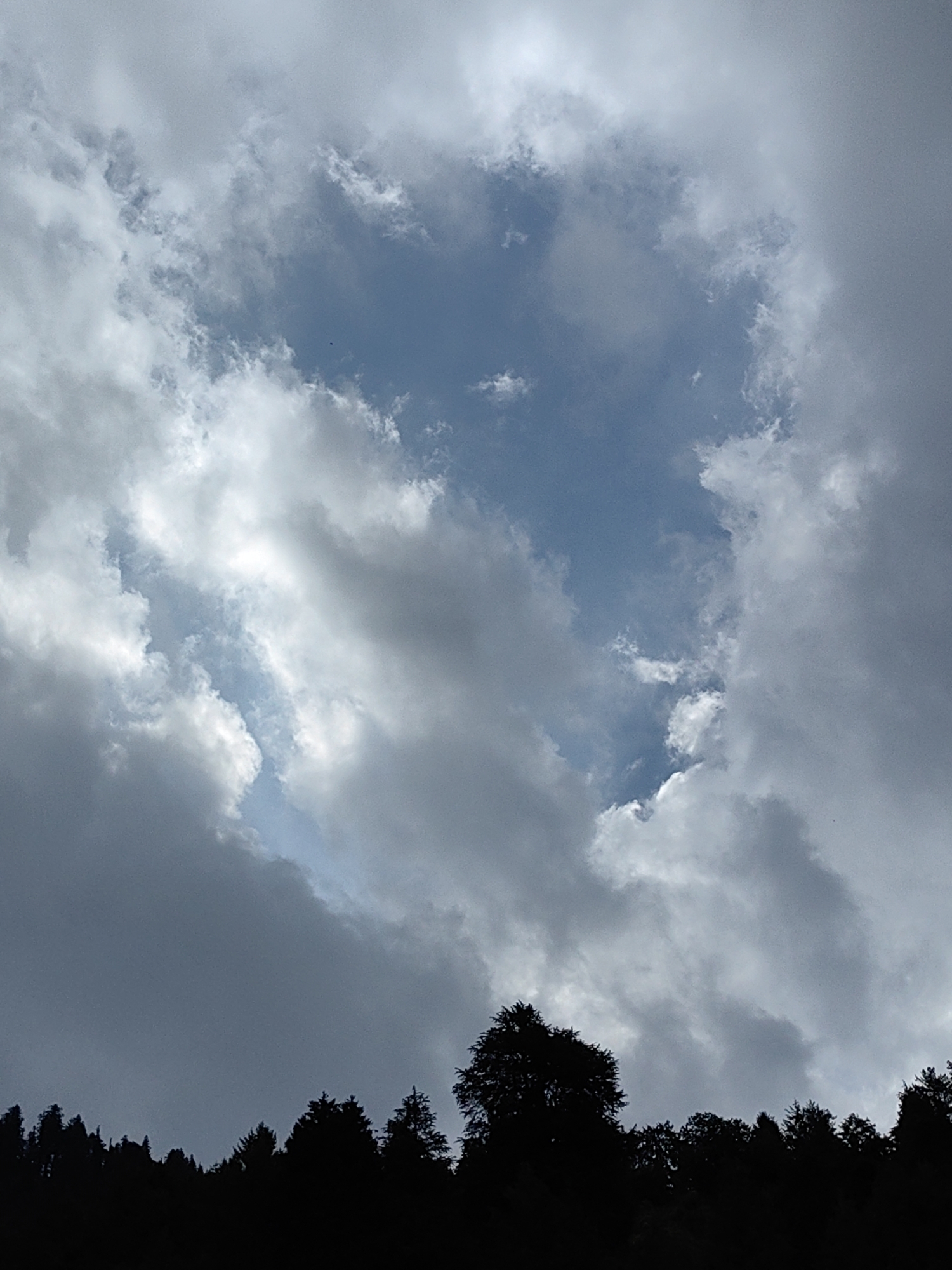 The image shows a dark silhouette of a dense forest against a dramatic sky filled with clouds. The clouds are a mix of dark grey and lighter white, with a visible patch of bright blue sky in the center. The trees are dark and irregular in shape, with some appearing taller and more prominent than others. The overall mood of the image is somber and somewhat ominous, possibly indicating an approaching storm or a cloudy day. The image does not contain any people, actions, or interactions. The location is the city of Vashisht, India.