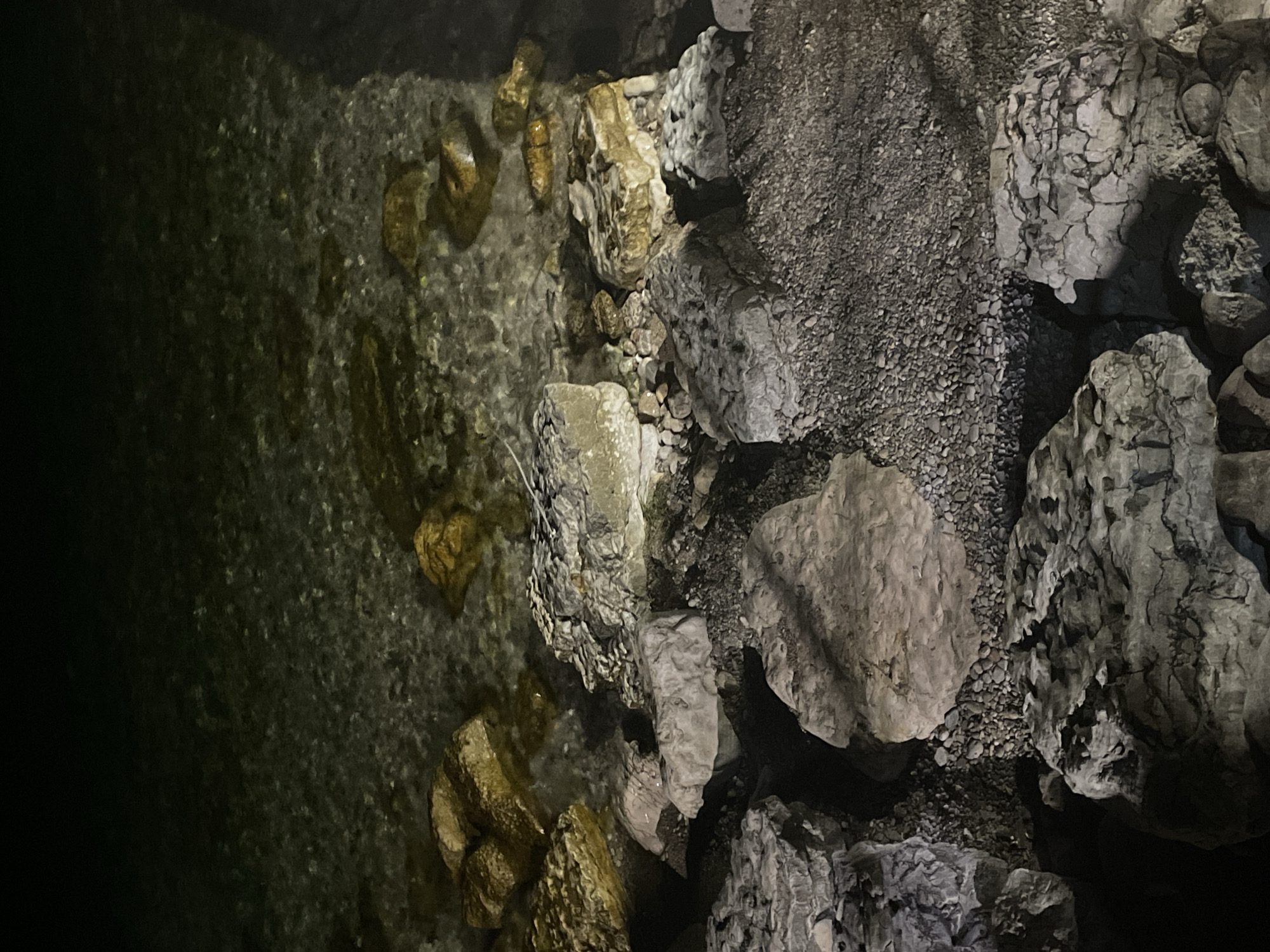 The image shows a rocky shoreline at night. Large, irregularly shaped rocks, some partially submerged in shallow, clear water, are scattered along the edge. The rocks are a mix of light gray and tan colors, with some appearing to have a rough, weathered texture. The water reflects some light, creating a shimmering effect, and the bottom is visible in places, showing smaller pebbles and stones. The scene is dimly lit, suggesting it is nighttime, and the background fades into darkness. There are no people or active interactions depicted. The location is identified as a rocky shoreline in Herceg Novi, Montenegro.