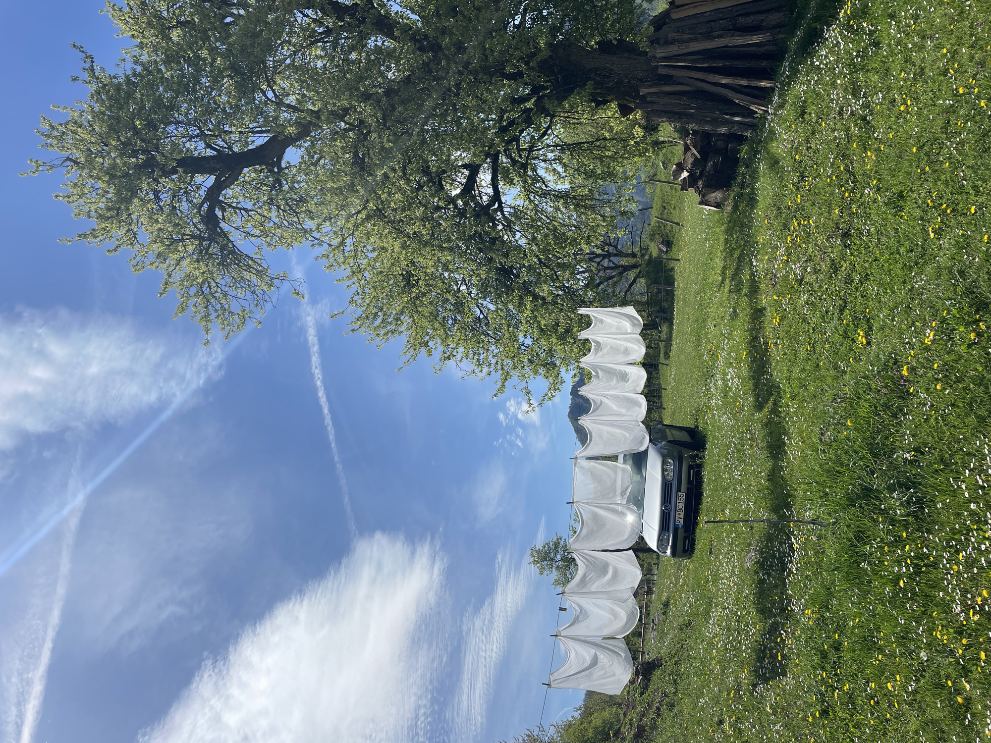 The image depicts a rural scene, likely in Đurđevića Tara, Montenegro. A white car, obscured by white sheets hanging on a clothesline, sits in a field of grass dotted with white and yellow wildflowers. Behind the car and clothesline rises a tree with lush green foliage. The background reveals partially visible mountains and a pile of wood. The sky is blue with contrails.