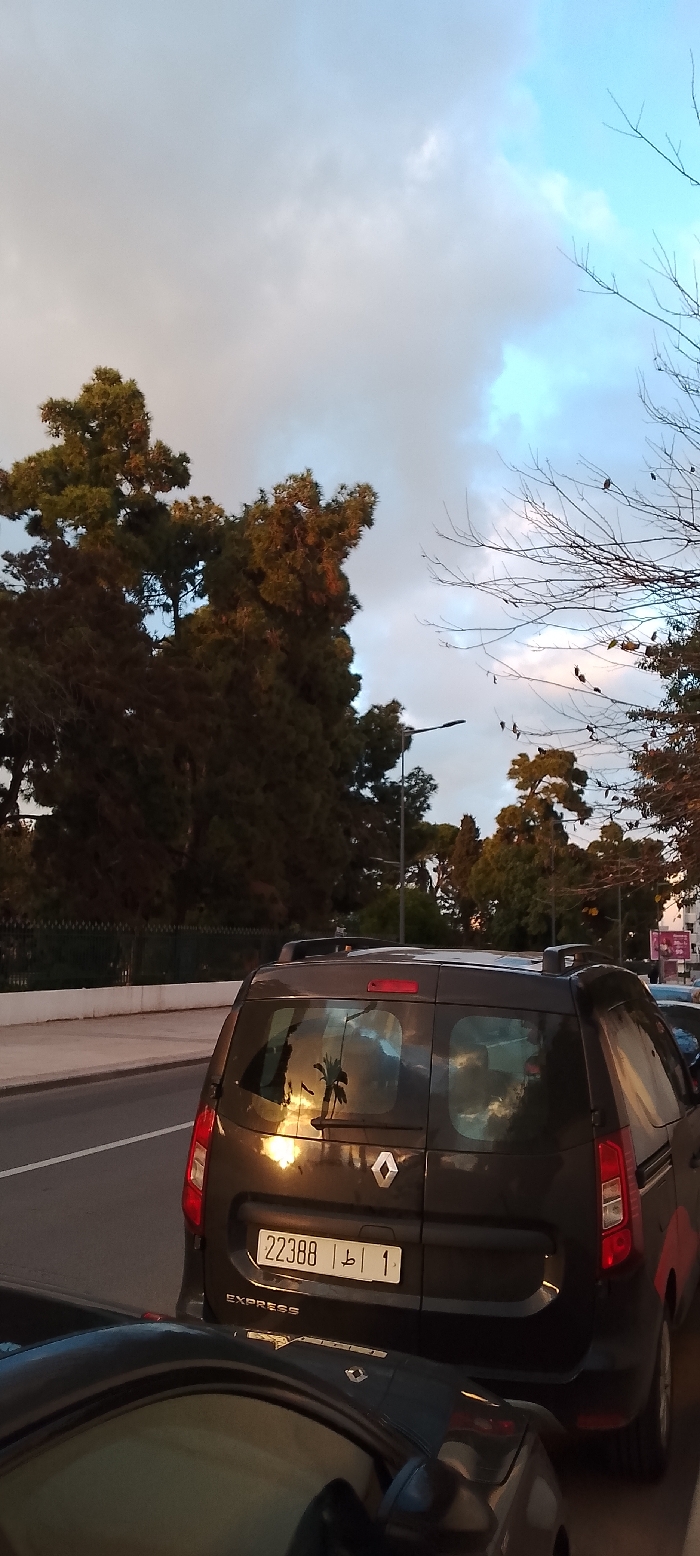 A street view shows two cars, a dark Renault van in focus and another car partially visible in the foreground. The van's license plate reads "22388 ط ا 1." Trees and a street lamp line the opposite side of the road, with a white barrier visible along the curb. The sky is a mix of clouds and blue, reflecting in the van's rear windows. The light suggests it's either early morning or late afternoon.