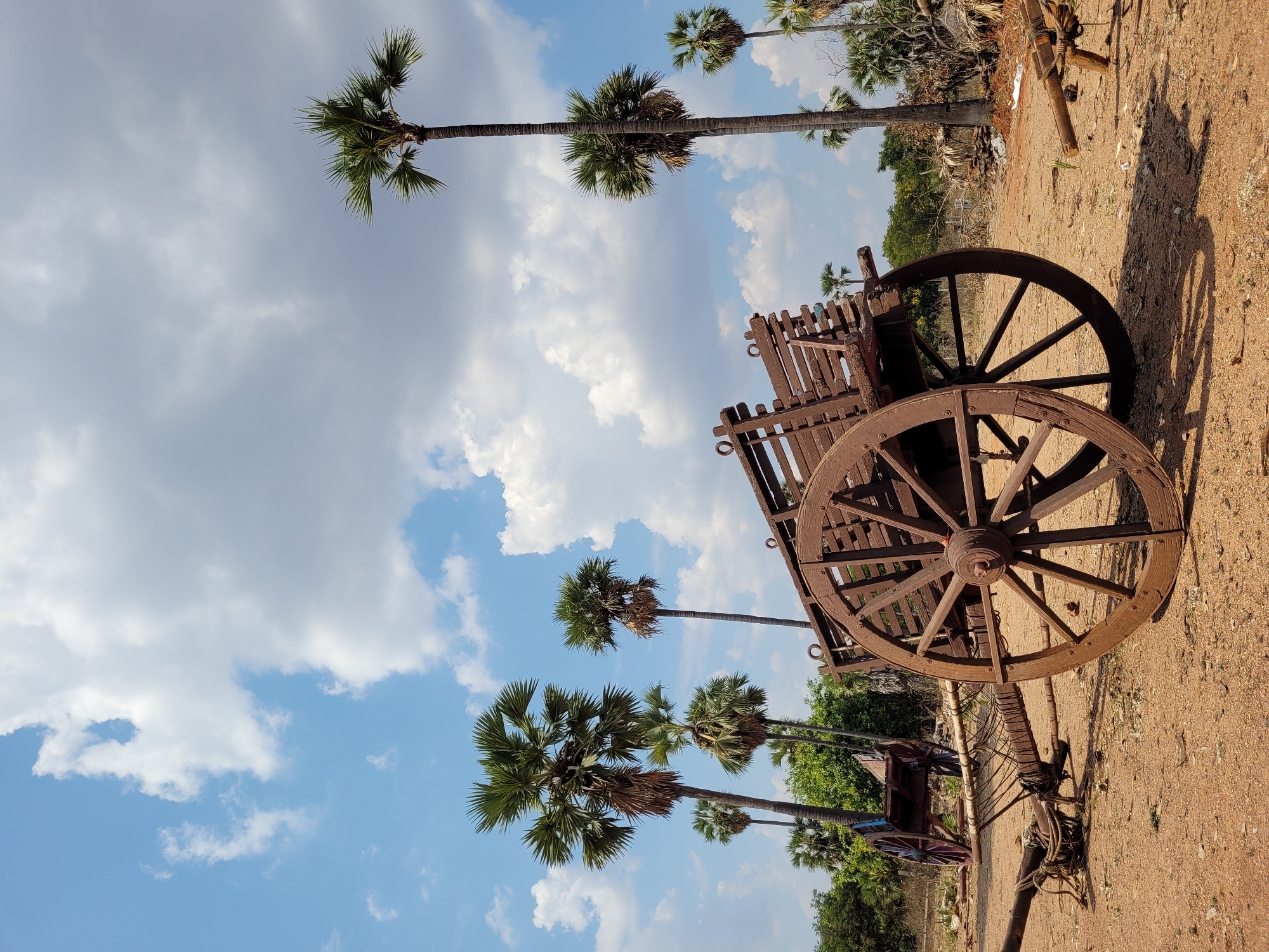 A wooden cart sits on reddish-brown dirt beneath a partly cloudy sky. Several palm trees of varying heights are in the background, extending from the bottom left to the upper center of the image. The cart's large wooden wheels and frame are prominently displayed. A field or sparsely vegetated area stretches out on the right side of the frame. The scene appears to be an outdoor setting in an area with palm trees.