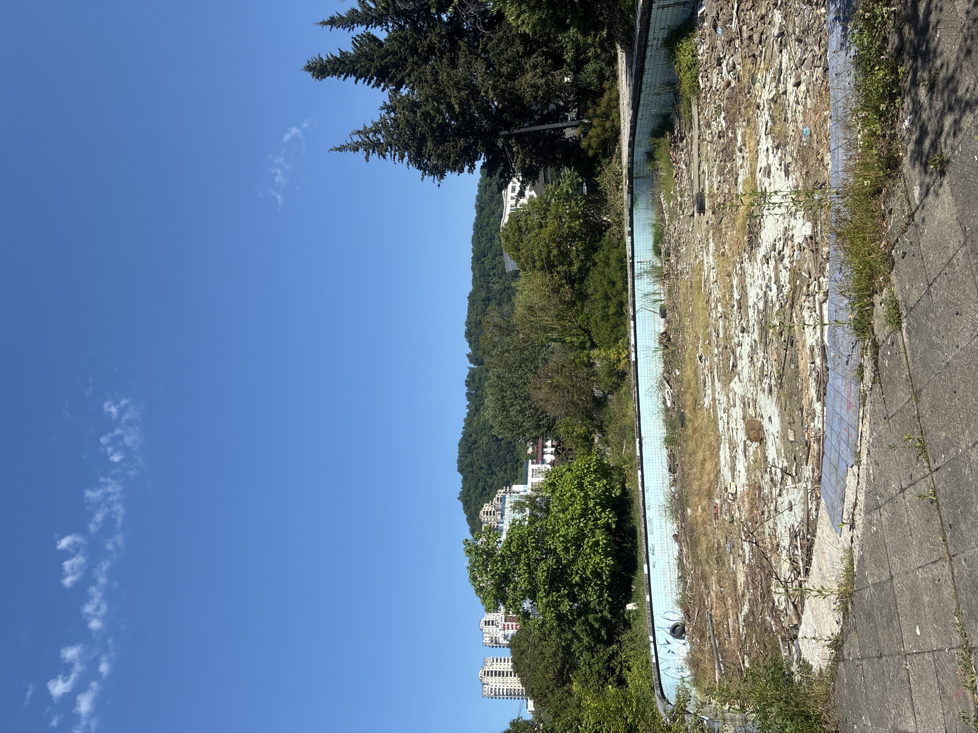 The image, captured on a clear, sunny day, depicts a scene of natural beauty juxtaposed with urban decay, likely in Sochi, Russia. The perspective is outdoors, looking across a neglected area towards a verdant hillside.
In the foreground, an abandoned swimming pool dominates the right side of the frame. The pool is empty and filled with a mixture of dirt, rubble, and overgrown weeds. Its light blue tiled walls are visible but show significant signs of damage, with many tiles missing or broken. A concrete walkway or pool deck borders the pool on the right, also exhibiting cracks and patches of weeds.
Beyond the derelict pool, a lush, green hillside covered in dense trees and foliage rises in the mid-ground. Several multi-story buildings, appearing to be residential or resort complexes, are nestled among the trees on the hillside and in the valley. Some buildings are distinctively white, while others have varied facades. A prominent, large coniferous tree stands tall on the upper left side of the frame, adding to the natural backdrop.
The sky above is a vibrant, clear blue with a few scattered white, wispy clouds. The bright sunlight indicates it is daytime, casting visible shadows and highlighting the details of both the natural and man-made elements. There are no people visible, and no specific activity is taking place, contributing to a sense of abandonment and quiet decay. No visible text is present in the image.