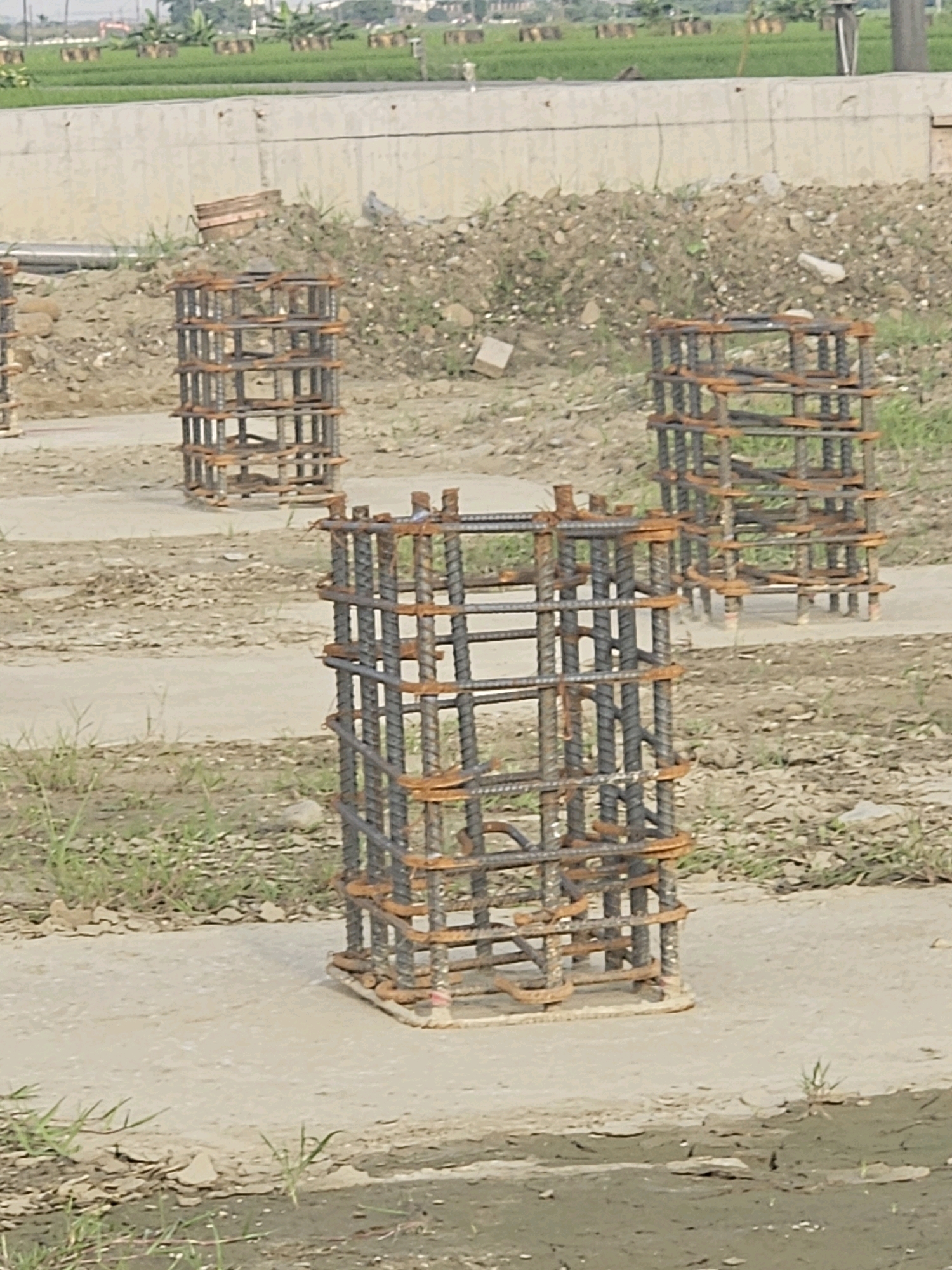 The image depicts a construction site in Xikou Township, Taiwan. In the foreground, three reinforced concrete column cages are visible, made of rebar and spaced apart on a concrete base. The cages are rectangular and appear to be in various stages of preparation for concrete pouring. The ground around the cages is a mixture of dirt, gravel, and sparse green vegetation. In the background, a concrete wall runs horizontally, with a lush green field beyond it, suggesting an agricultural or natural area. The overall scene is indicative of infrastructure development.