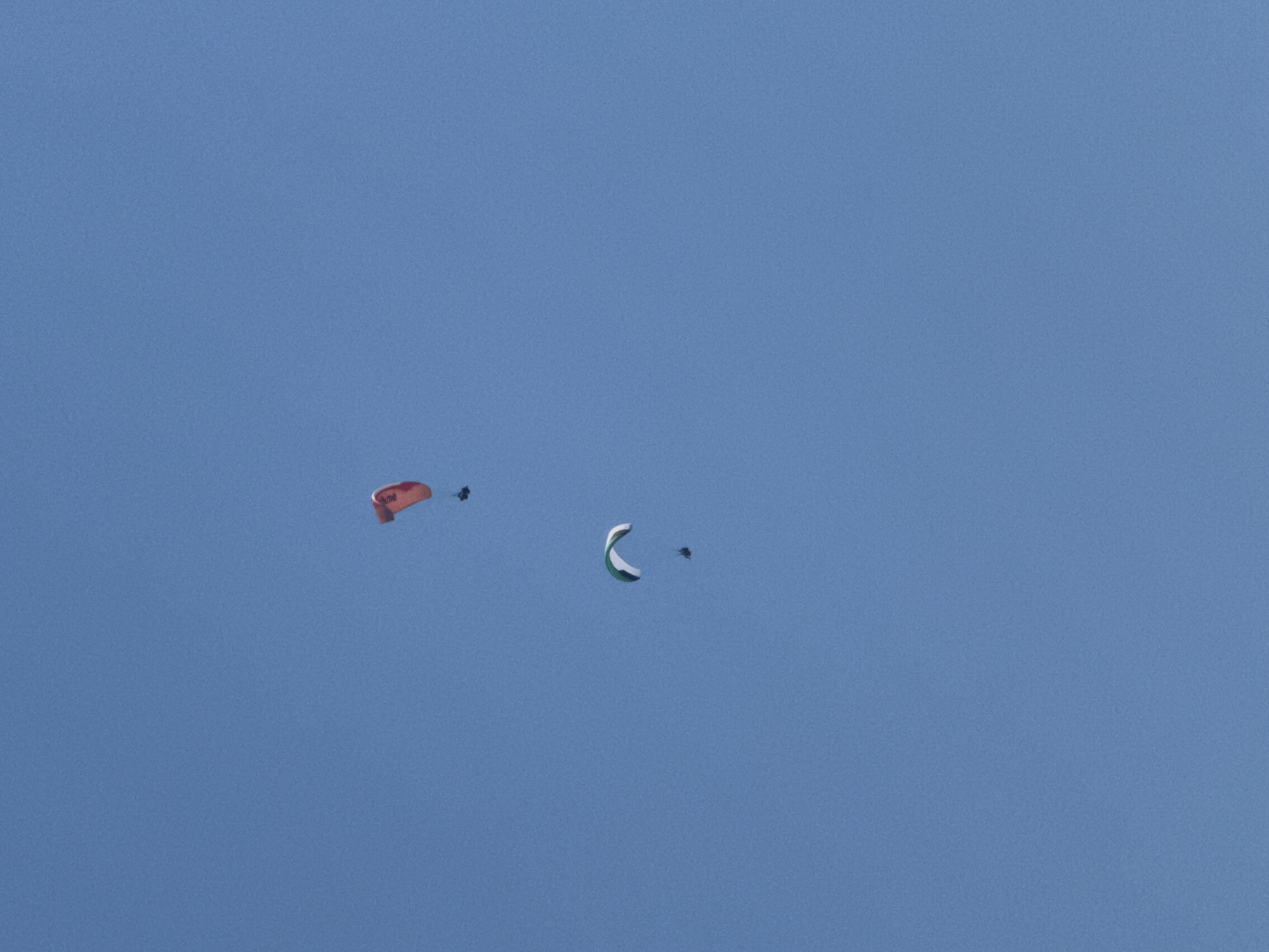 Two paragliders are seen against a clear blue sky. One paraglider, wearing a red canopy, is positioned higher and to the right. Below and to the left of the red paraglider is a second paraglider with a green and white canopy. Both paragliders have a person suspended beneath them. The scene is an open sky with no visible ground or city elements from Rafailovići, Montenegro.