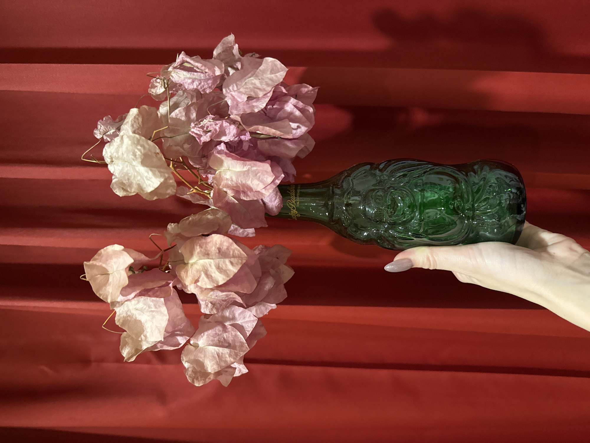 A woman's hand holds a green glass bottle filled with pink and white bougainvillea flowers against a red background with horizontal striations. The bottle is lying horizontally. The scene is brightly lit with strong shadows.