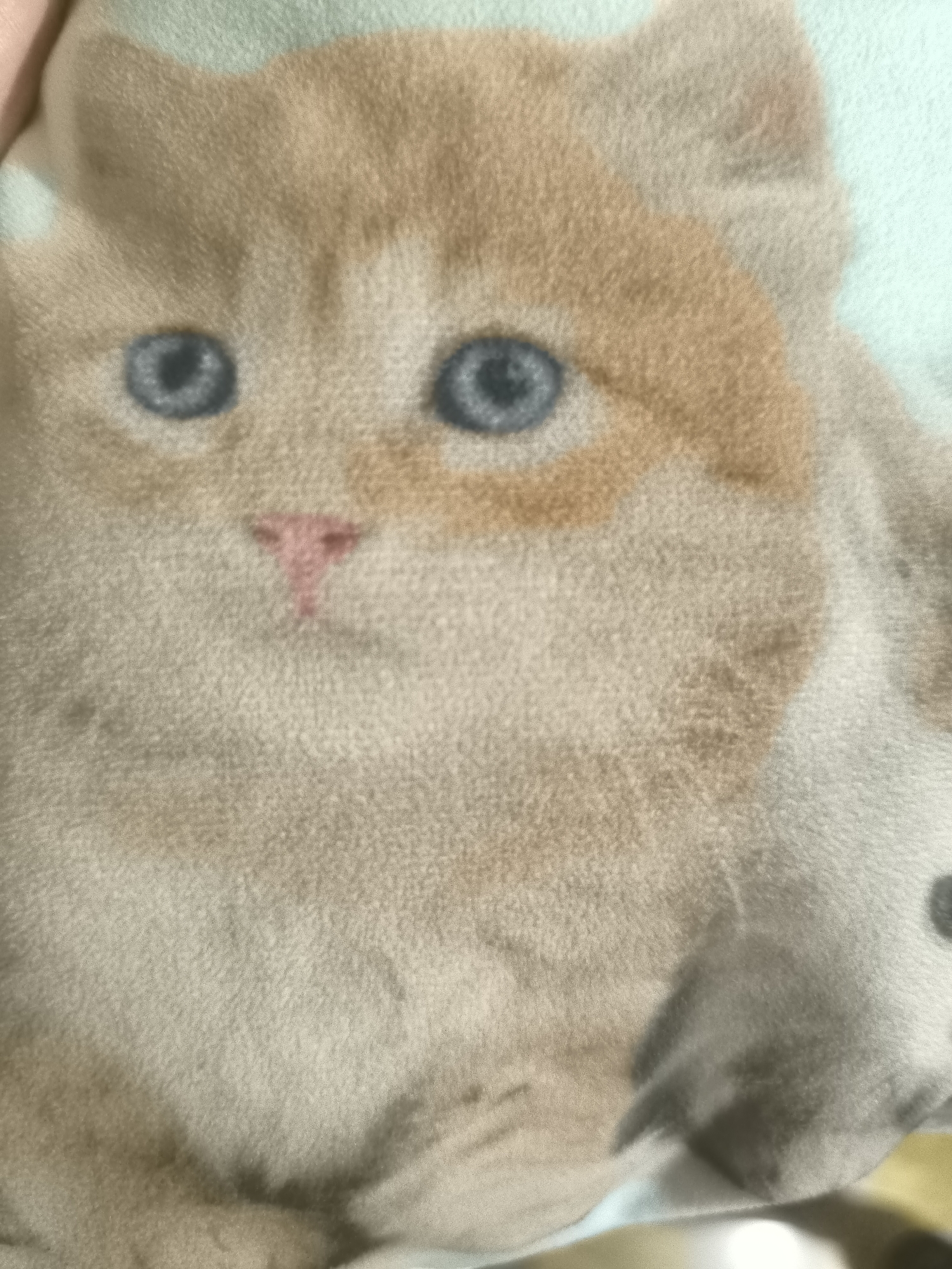 The image shows a close-up of a plush toy or blanket depicting the face of a cat. The cat has light brown and cream-colored fur, with blue eyes and a pink nose. The background is a light blue or green color. The lighting is soft and diffused, and the image appears to be taken indoors. No city, state, or specific location information is available.