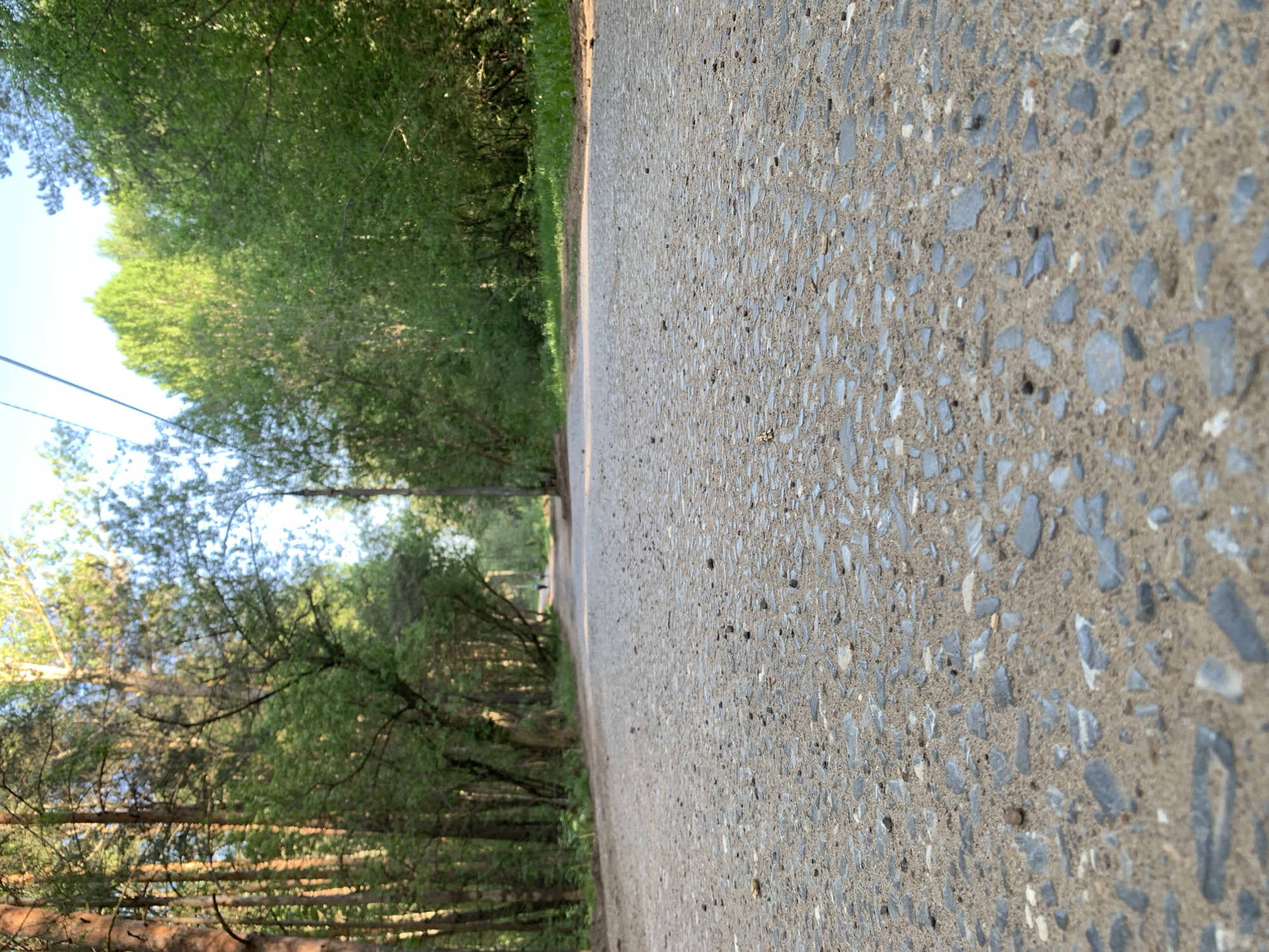 The image shows a view along a concrete road or pathway lined with trees, likely located in a park or wooded area. The concrete surface has a speckled texture due to the aggregate. The perspective is tilted, with the road appearing to stretch into the distance between the rows of trees. The trees on either side are mostly green, suggesting spring or summer. There are power lines in the sky above the trees. While the image has been described as being taken in Chaikovsky, Russia, this cannot be confirmed without further location specific information within the image. There are no people or visible subjects in the shot, just the physical environment.