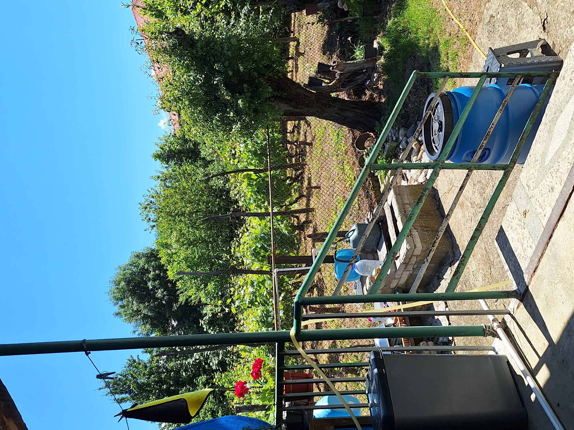 The image depicts an outdoor scene, likely a backyard or garden area, under a clear blue sky. A green metal railing with some rust is visible in the foreground, leading up a short set of stairs. To the left, a dark grey trash bin is positioned on a concrete surface. Further back, there is a small stone structure with a water faucet and a blue plastic barrel on a black stool. The background is filled with lush green trees and foliage, suggesting a rural or suburban environment. A chain-link fence runs through the middle ground, separating the immediate area from the densely vegetated backyard. In the far distance, the roof of a building with red tiles is visible. A yellow rope or hose is strung across the scene, connecting to various elements. The overall impression is one of a functional, somewhat cluttered outdoor space.