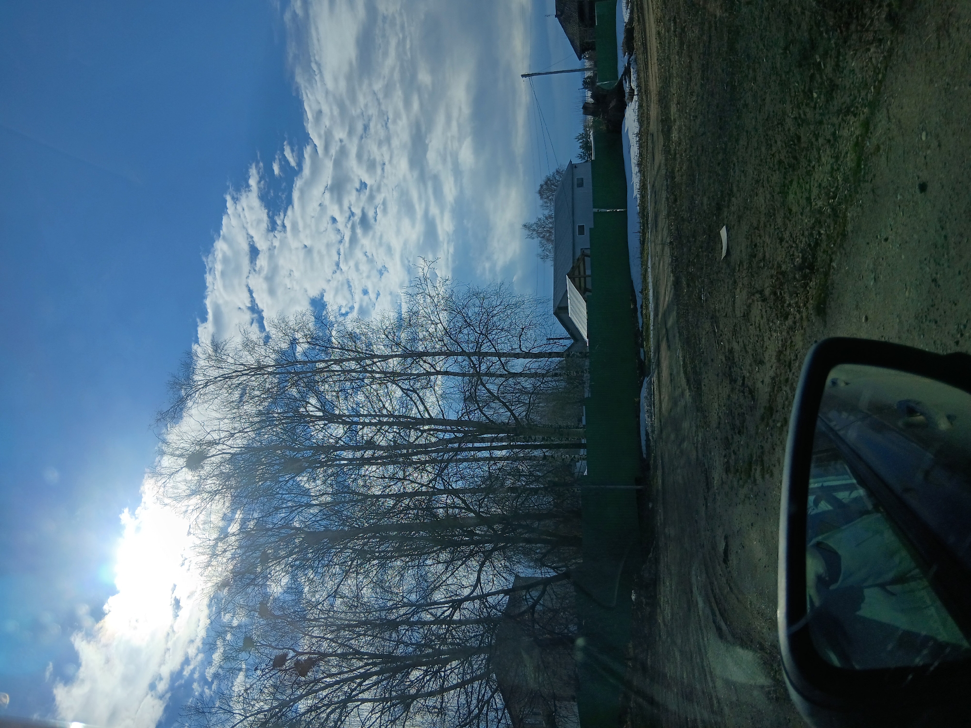 The image captures a street scene on a bright, sunny day in an unidentified city. The sky is predominantly blue with scattered white clouds. A cluster of bare trees dominates the foreground, their branches reaching towards the sky. Behind the trees is a green fence and a glimpse of a building. The foreground right shows a side mirror of a vehicle. The environment appears to be a residential or suburban area. There are no people visible in the image.