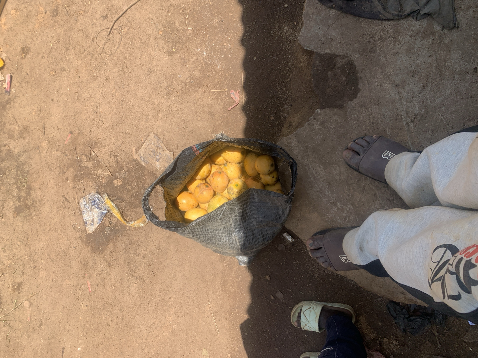 An overhead, high-angle shot shows a black plastic bag full of ripe mangoes resting on the ground. The bag is situated on a patch of concrete, bordered by sandy, dirt ground with scattered debris. The mangoes are a vibrant yellow and orange, and some have small brown spots. To the left of the bag, a person's feet are visible wearing light-colored sandals and grey sweatpants with a large black graphic. Further to the left, another person's feet are visible wearing light-colored sandals and dark-colored pants. Shadows cast by an unseen structure fall across the scene, suggesting it is daytime. The overall impression is one of an outdoor market or roadside stall in Dutsen Daji, Nigeria.