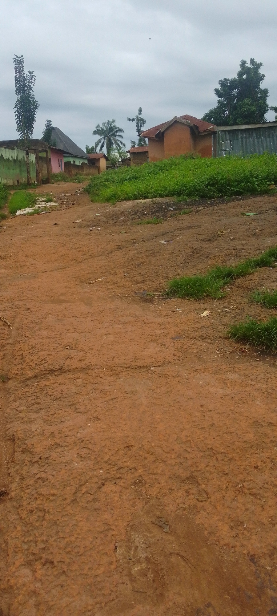 This image depicts a dirt road in a rural or semi-urban area, possibly in Baissa, Nigeria, under an overcast sky. The road is reddish-brown and uneven, with some patches of sparse green grass growing alongside it. On either side of the road, there are a few buildings. To the left, a low-lying structure with a green painted wall and a corrugated metal roof is visible, adjacent to a brick wall. Further down the road on the left, there are other buildings with colorful facades, including a pink one. To the right, a cluster of buildings with orange-brown walls and rusty corrugated metal roofs are situated. In the background, there are trees and dense green foliage. A distant, faint object, possibly a bird or an insect, is discernible in the sky. The overall impression is one of a simple, lived-in environment.