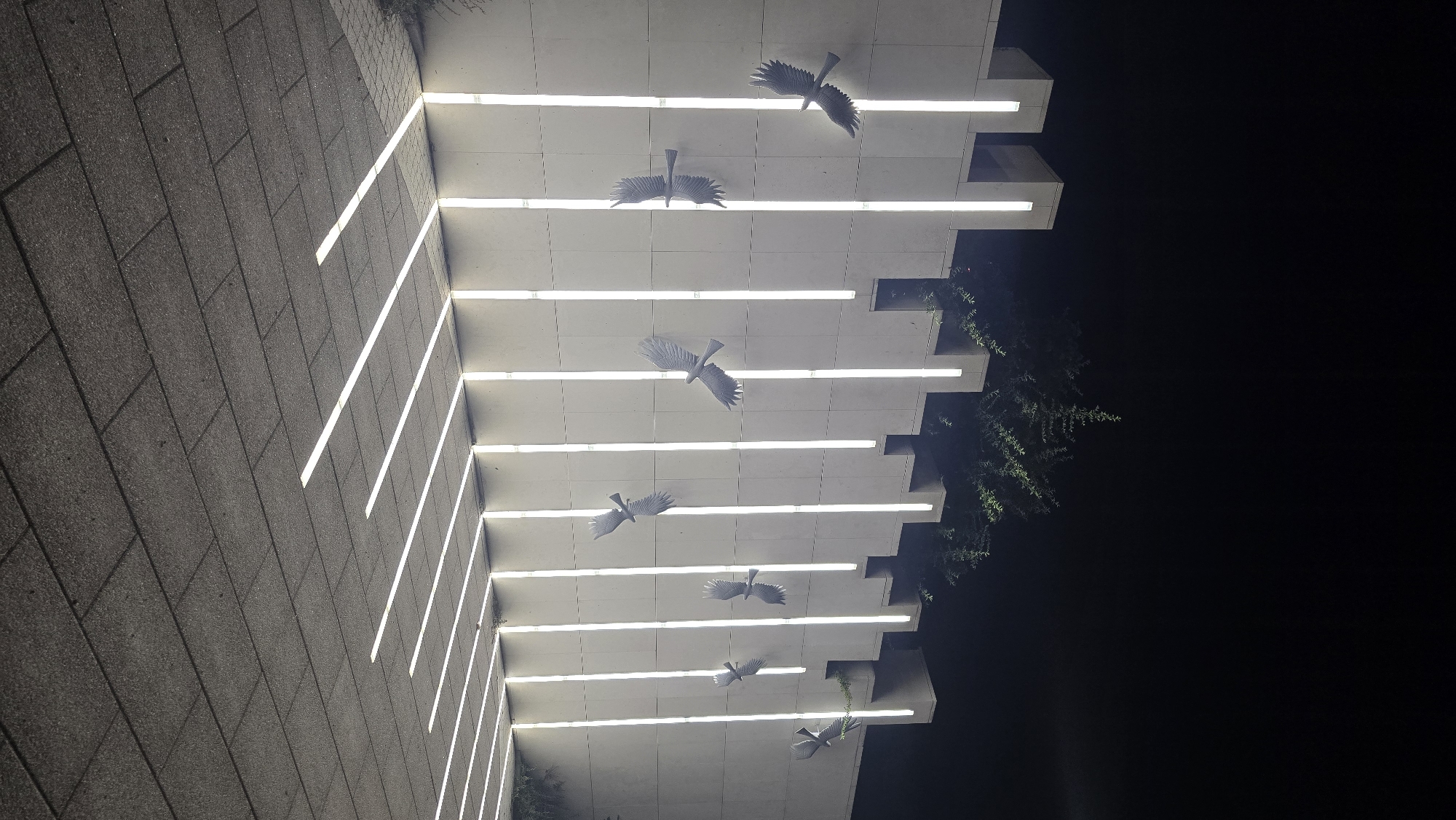 The image shows an outdoor scene at night, illuminated by vertical LED lights embedded in a concrete wall. The wall has a textured, segmented surface and is topped with decorative crenellations. Several stylized bird sculptures, appearing to be raptors in flight, are mounted on the wall at varying heights. The ground in front of the wall is paved with dark rectangular stones, and the lights cast long, linear shadows across the pavement. In the background, a dark silhouette of trees is visible against the night sky. The scene appears to be a public space, possibly a park or architectural installation. There are no people or animals visible in the image. This image depicts the Monument to the Founders of Krasnodar, located in Krasnodar, Russia.