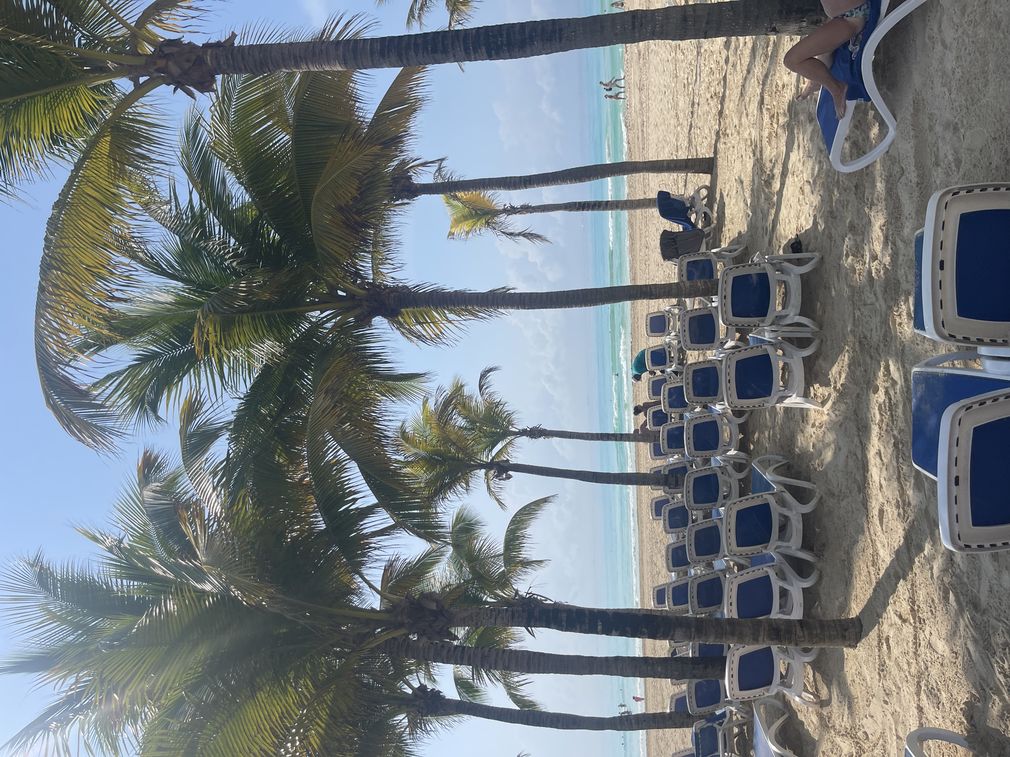 The scene is a beach in Playa del Carmen, Mexico. The focus is a row of palm trees lining the beach with numerous unoccupied blue and white plastic lounge chairs on the sand, arranged neatly in rows. In the distance, a light-blue ocean meets a sandy beach with a few indistinct figures of people, some appearing to walk along the shore. A small amount of sky is visible above. A person sits on a lounge chair in the upper right corner of the photo.