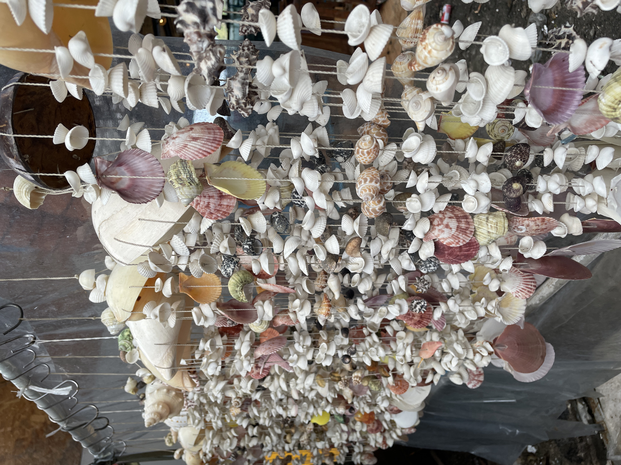 This image shows a close-up, upward-angled view of seashell decorations hanging on strings. The seashells vary in size, color, and type. Most are white, but some exhibit pink, brown, yellow, and black patterns. Some are small, while others are larger, like scallop shells. The strings they hang from are light-colored. The background appears to be a semi-transparent surface, possibly a roof or covering. Parts of the supporting structure for the hanging decorations are visible along the edges. The scene is located in Rawai, Thailand.