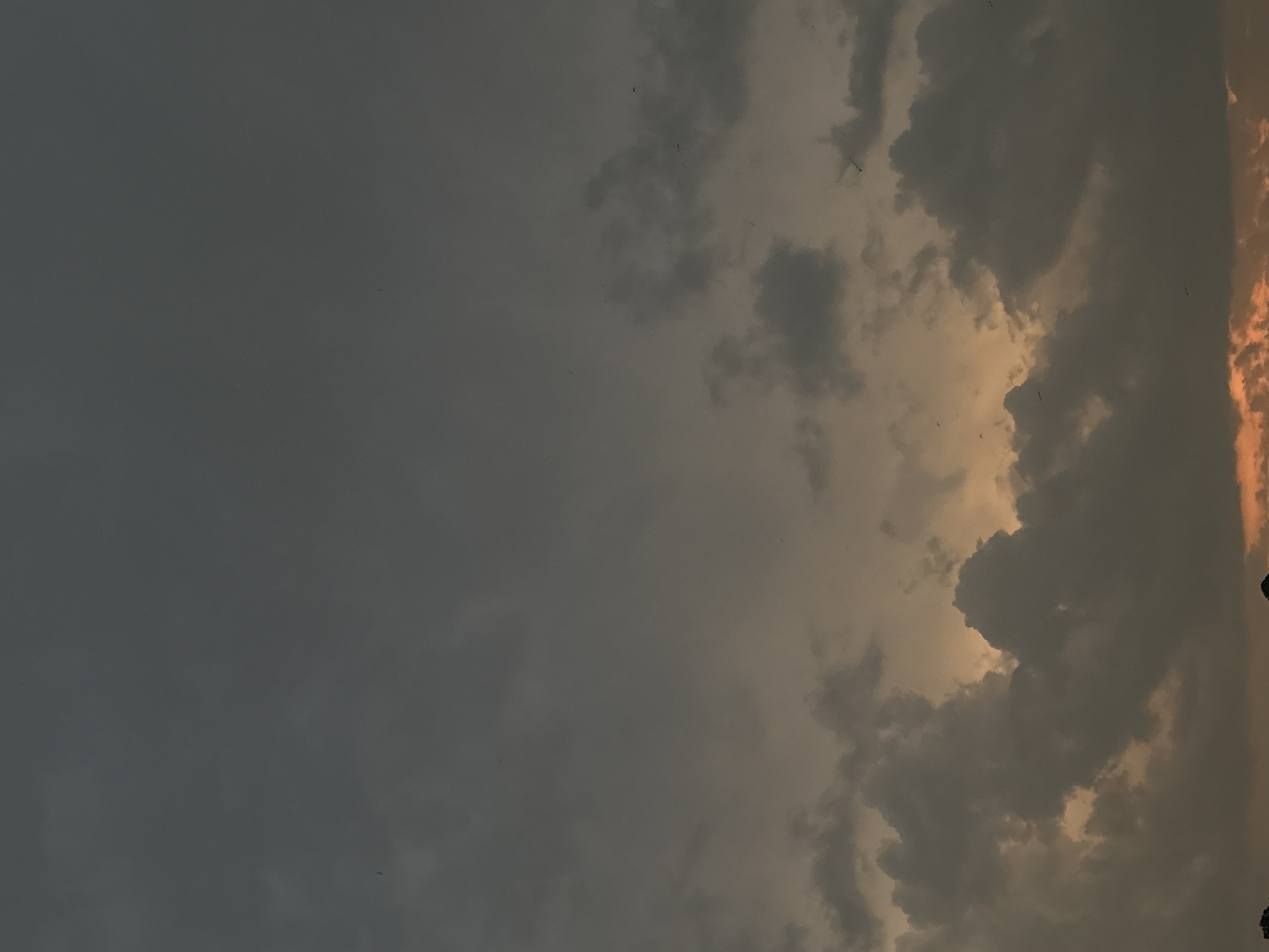 The image depicts a cloudy sky in Mexico City, Mexico. The clouds range in color from gray to orange, suggesting either a sunrise or sunset. The gray clouds occupy most of the left side of the image, while the orange clouds are on the right. Tiny black dots are dispersed across the sky, possibly birds or insects. The scene appears still and quiet.