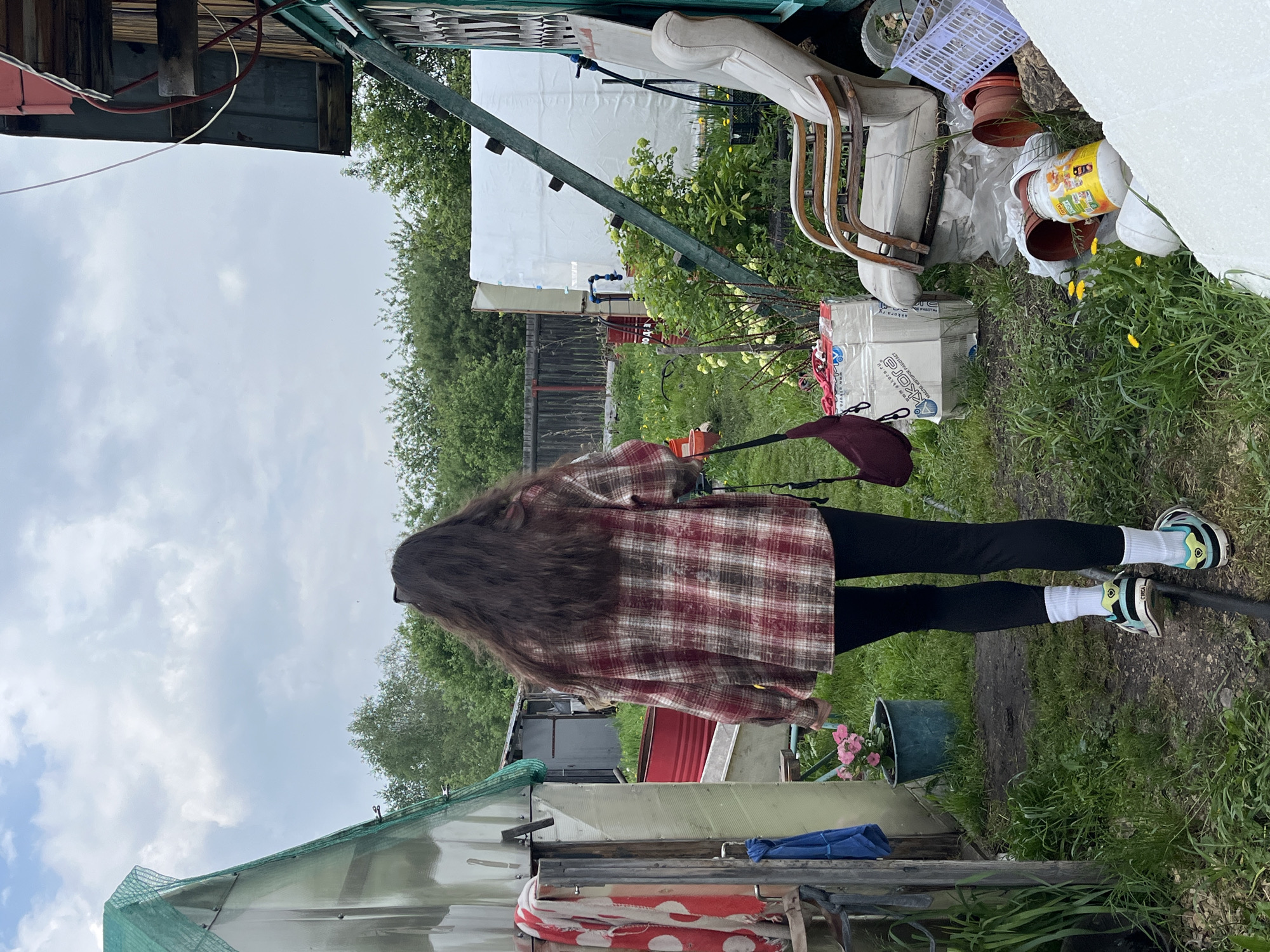 A person with long, dark brown hair, wearing a red and white plaid shirt, black leggings, white socks, and athletic shoes, walks away from the camera on a dirt path in an outdoor area. To the left of the path is a greenhouse with green netting. A red and white polka dot scarf and a blue cloth hang on the side of a structure. To the right of the path, there is an overgrown area with green bushes, yellow dandelions, a white armchair, several terracotta pots, a white plastic basket, and some white packaging materials. In the background, there is a wooden fence and green trees. The scene appears to be in a rural or semi-rural setting, possibly a dacha or a backyard. The sky is cloudy. The specific location in Beryozovsky, Russia, is not identifiable from the visual information alone.