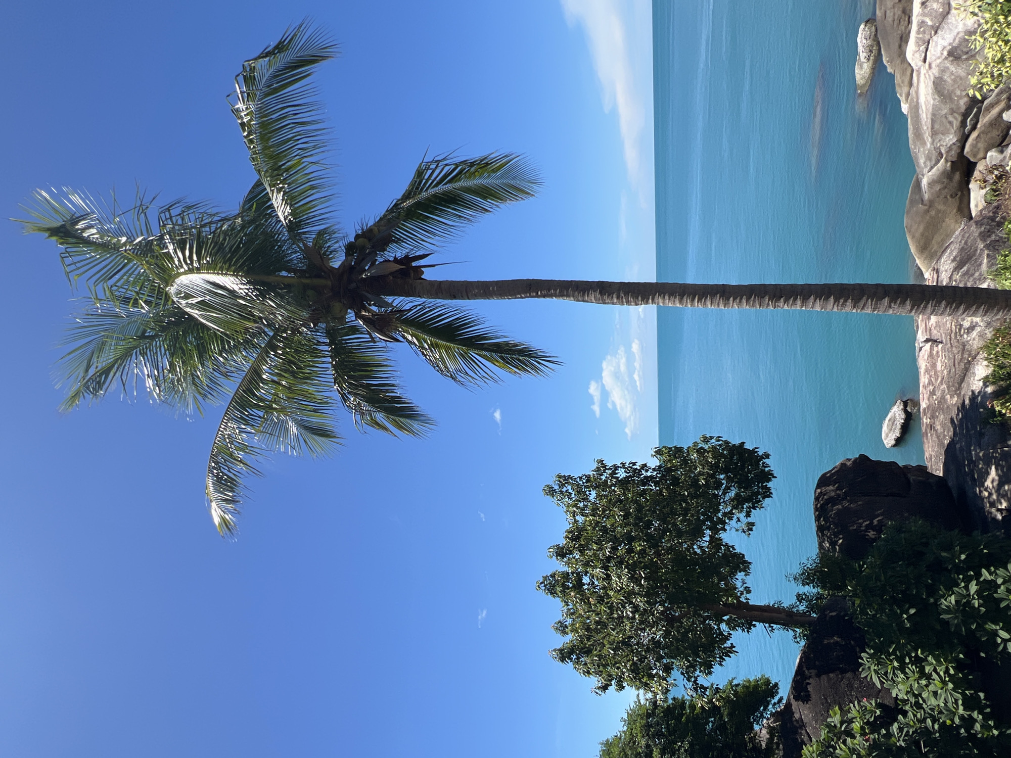 This media file captures a vibrant tropical scene from Baan Chaweng Noi, Thailand. The dominant subjects are a tall, mature palm tree with its fronds spread against a brilliant blue sky, and the clear turquoise ocean. The scene is set on a rocky coastline, with large boulders visible on the right side of the frame, partially shaded by lush green foliage. In the mid-ground, another tree with dense green leaves stands on the rocky terrain, adding to the verdant landscape.
The image suggests a tranquil, warm day, likely in the late morning or early afternoon given the bright sunlight casting shadows. The sky is a vivid blue with a few wispy white clouds scattered near the horizon line where the sky meets the sea. The ocean is calm, with gentle ripples and subtle variations in color indicating its depth and clarity. The rocks are weathered and grey, typical of a coastal environment.
There are no people or specific activities depicted; the focus is purely on the natural beauty of the location. The overall mood is one of peace and serenity, evoking the feeling of a tropical paradise. The composition, with the palm tree reaching upwards and the ocean stretching out, creates a sense of openness and natural grandeur. There is no visible text in the image.