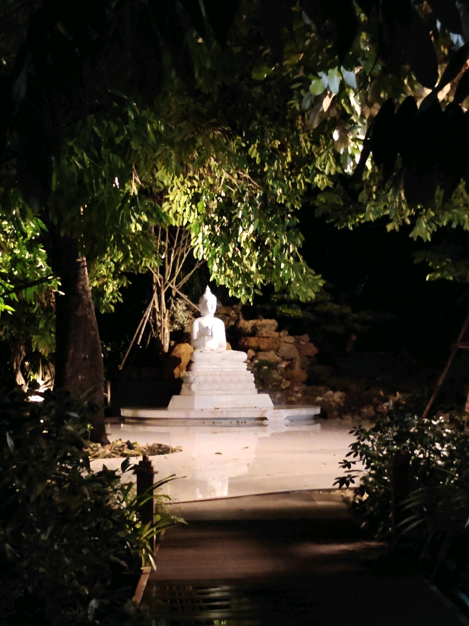A white statue of Buddha sits on a tiered platform in a garden at night. The statue is illuminated by artificial lights, casting shadows on the surrounding foliage. Trees and lush green plants frame the scene, with some of the leaves catching the light and appearing bright. In the foreground, a pathway leads towards the statue, also lit by soft lighting. The background is dark, suggesting a nighttime setting within a city environment, possibly in Mu Si, Thailand, a location known for its natural beauty and temples. There are no people visible in the image. The overall impression is one of peaceful serenity and spiritual ambiance.