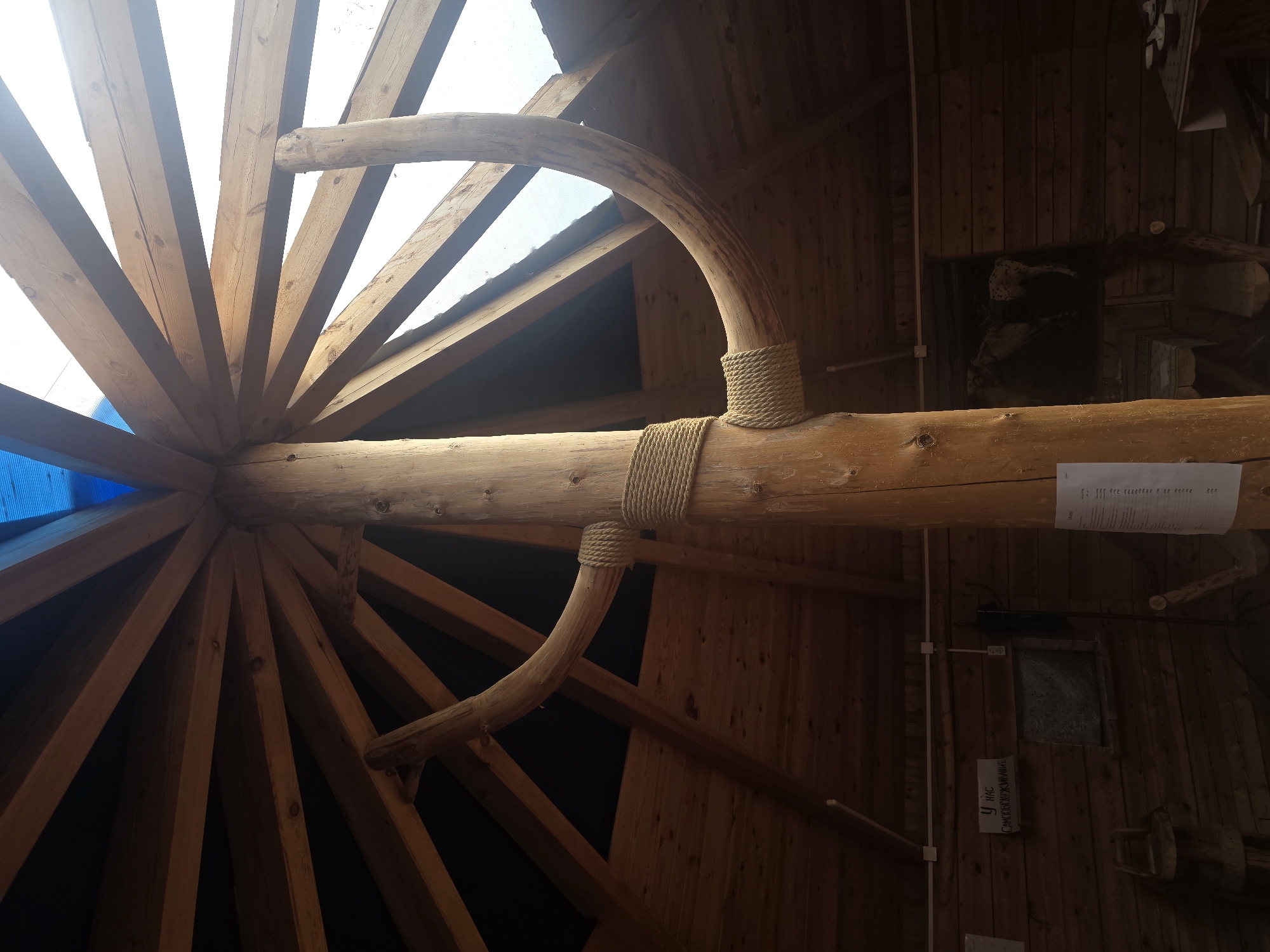 The photograph, taken in Maksimiha, Russia, shows the interior of a rustic wooden structure. The central focus is a thick, vertical wooden log, serving as a pillar. Two curved wooden beams, resembling horns or branches, are attached to this pillar at different heights, secured with thick rope. These beams extend outwards and upwards, supporting a roof constructed of numerous wooden rafters that radiate from the top of the central pillar. The rafters are covered with a dark material, possibly tarpaulin, and a translucent blue material, suggesting a partially covered or skylit roof. The walls and ceiling of the structure are made of wooden planks. In the background, visible on the wall, are signs, a framed image, and some wooden furniture, including a stool. The lighting appears to be natural, coming from the roof and an unseen source, casting shadows within the dimly lit interior. The overall impression is of a handmade, naturalistic shelter or pavilion.
