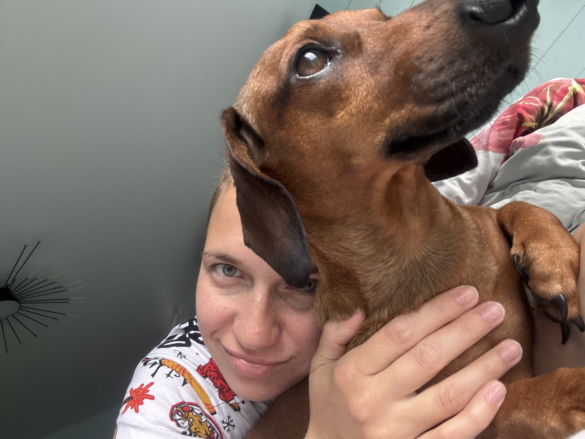 This is a close-up, informal portrait featuring a person and a dog in an indoor setting, likely a bedroom, in Раздолье, Russia.
The central subjects are a person, appearing to be a woman, and a reddish-brown dachshund. The woman is positioned on the left side of the frame, smiling gently at the camera, with her left hand visible, gently resting on the dog's body. She has light-colored eyes and wears a white t-shirt adorned with colorful, cartoon-style patterns including what looks like fireworks, snowflakes, and other abstract designs.
The dachshund occupies the right and upper portion of the image. Its head is tilted upwards, and its dark eyes are looking intently towards the upper right, beyond the camera's view. Its long, floppy ears are visible. The dog's front paws are also visible, resting on what appears to be a bed or blanket.
The interaction suggests a moment of affection and companionship, possibly a selfie taken while cuddling.
In the background, to the left, a light gray or bluish-gray wall/ceiling is visible, featuring a distinctive, modern light fixture with multiple thin, radiating spokes emanating from a central point. To the right, behind the dog, a bed or pillow with a patterned blanket (red, white, and gray with abstract or floral motifs) is seen. The lighting appears soft and even, typical of indoor conditions, but does not provide definitive cues for the time of day. There is no visible text in the image.