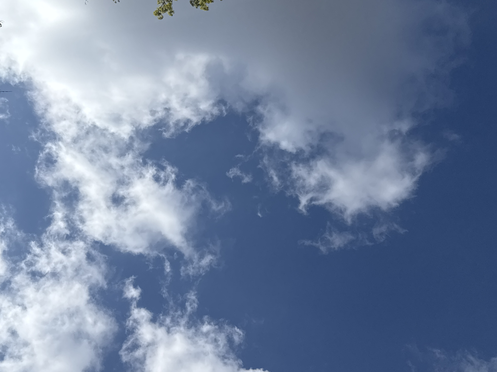 The image is an upward-facing shot of the sky. The sky is blue with scattered white clouds. Some green leaves are visible in the upper part of the image. There is no information in the image to confirm the location is Rostov-on-Don, Russia, and there are no people, objects, actions, or interactions visible.