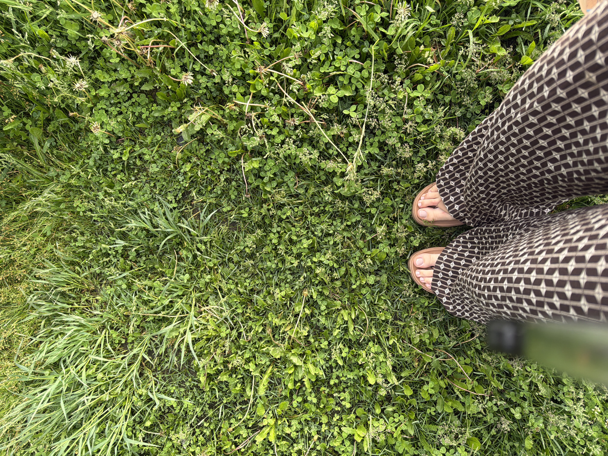 An aerial view captures a person's legs and feet standing on a grassy area in Mezhevoy, Russia. The individual is wearing brown and white patterned pants and light brown sandals. The ground is covered in dense green grass, clover, and some dry, white flowers. A green object, possibly a pole or a tool, is visible at the bottom left corner of the frame, partially obscuring the legs. The lighting suggests it is daytime, with soft shadows indicating natural light.