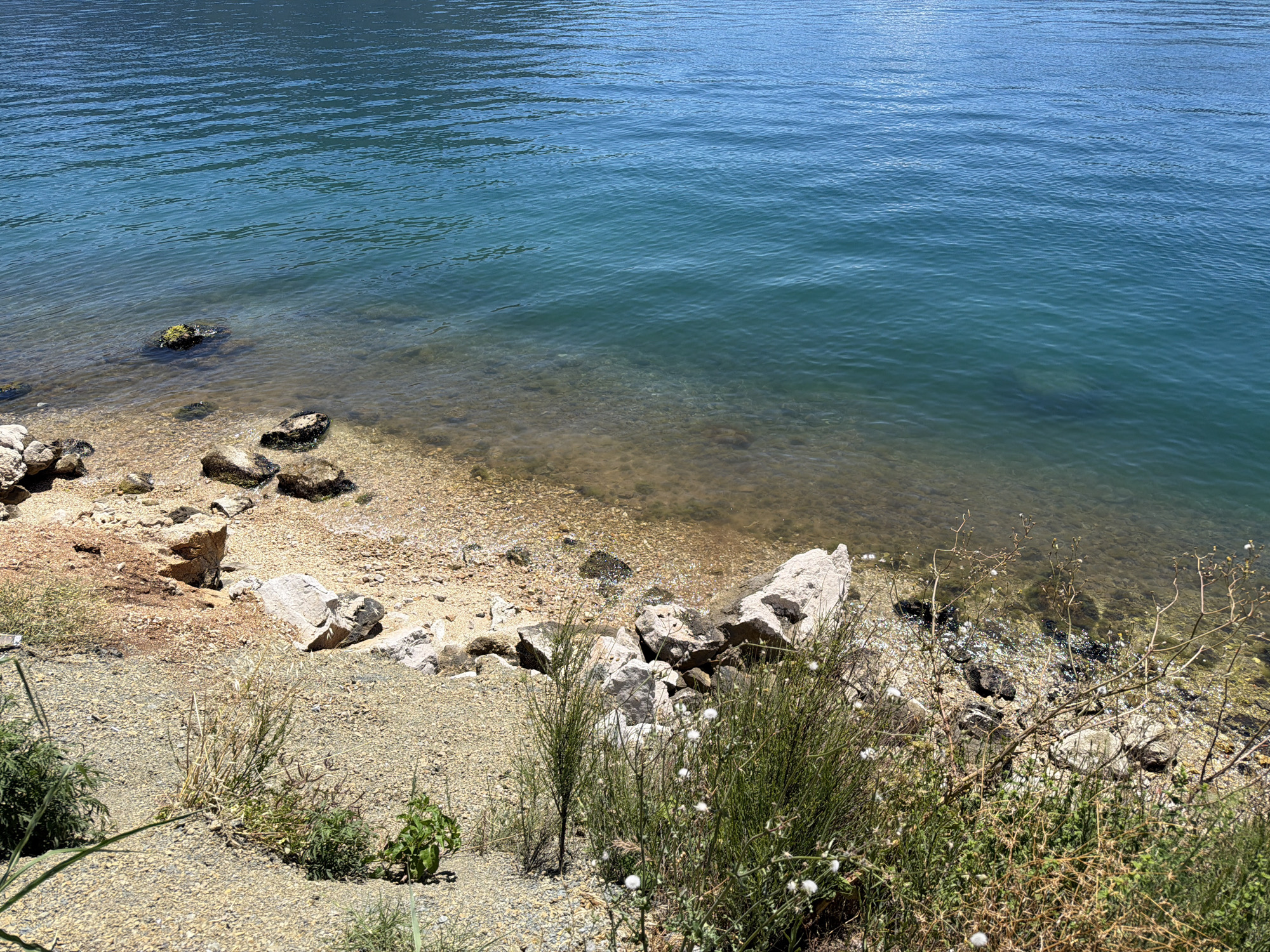 The image shows a natural shoreline with clear, blue-green water lapping at a rocky, pebble-strewn beach. In the foreground, dry grasses and sparse green vegetation grow on the sandy bank. Large, light-colored rocks are scattered along the waterline, some submerged in the shallow water. The water is calm with gentle ripples reflecting the sunlight. The background shows a vast expanse of water, likely a bay or a lake, with the far shore out of frame. This scene is representative of the coastal environment in Lipci, Montenegro, known for its clear waters and rocky shores. There are no people or animals visible in the image.