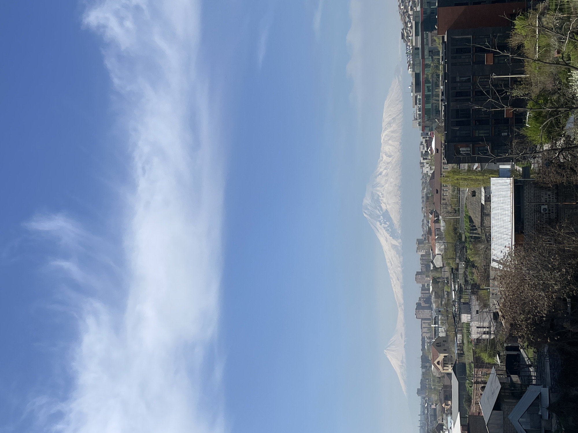 The image displays a panoramic view of an urban landscape set against a backdrop of majestic, snow-capped mountains under a clear blue sky. The sky, occupying the upper portion of the frame, is a brilliant blue with soft, wispy white clouds scattered across it, particularly denser on the left side.
In the far distance, towering prominently, are two large, snow-covered mountain peaks, characteristic of Mount Ararat. Their slopes are distinctly white with snow, and they appear somewhat hazy due to atmospheric conditions or distance.
Below the mountains, an extensive cityscape stretches across the middle ground. It features a dense collection of buildings, including residential structures of varying sizes and styles, some with traditional sloped roofs and others appearing as modern, darker-toned multi-story complexes. Patches of greenery and trees are interspersed throughout the urban environment, with some trees in the immediate foreground showing bare branches, suggesting early spring or late autumn, while others have begun to bud.
The scene is brightly illuminated by daylight, indicating a clear morning or early afternoon. No individuals or specific activities are visible within the frame. The overall impression is one of a serene city situated in a grand natural setting, typical of views from Yerevan, Armenia, looking towards Mount Ararat. There is no visible text in the image.