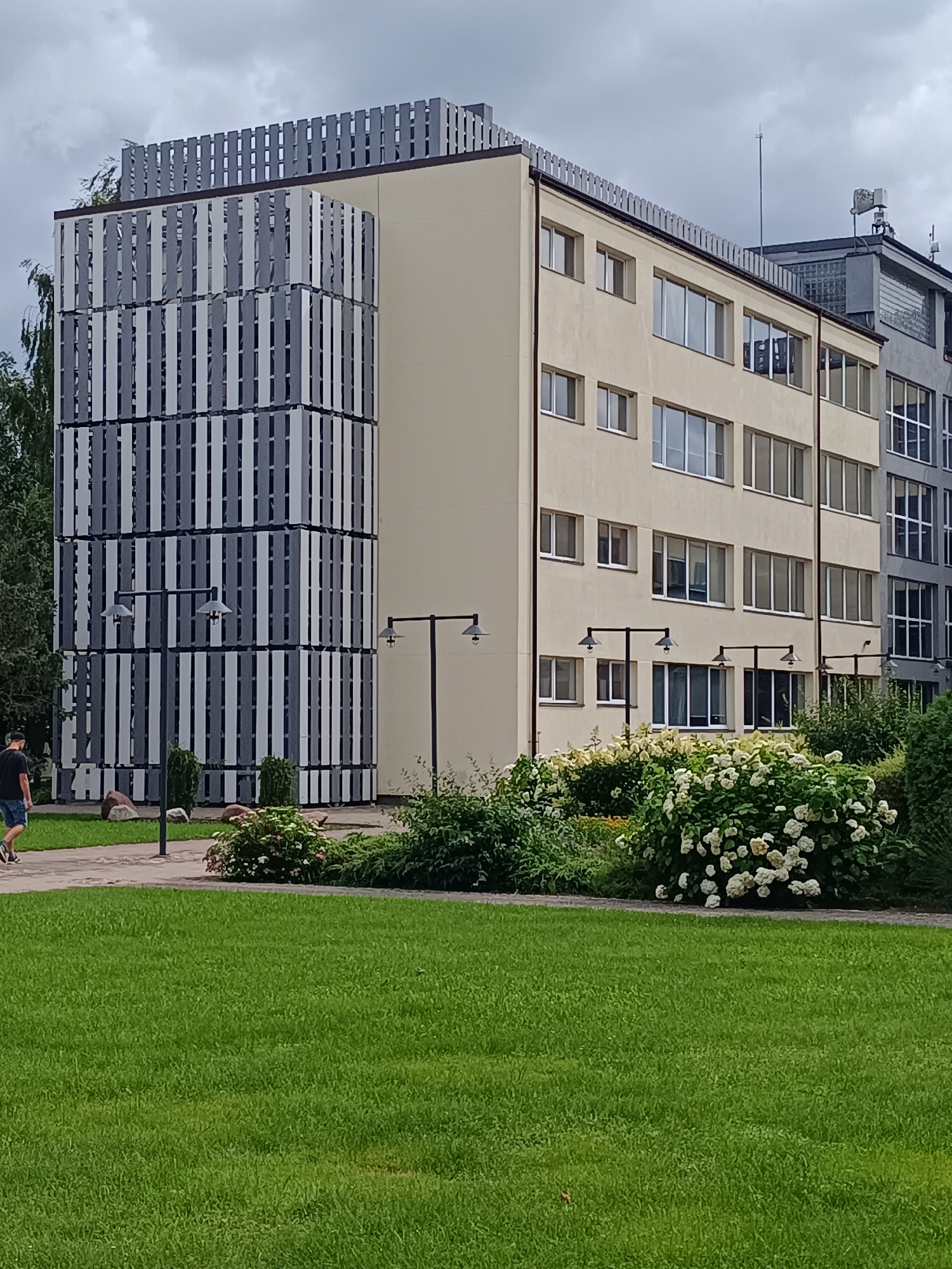 In Kuldīga, Latvia, an overcast day is depicted, showcasing the exterior of a modern building complex. The primary structure is a cream-colored, multi-story building with numerous windows framed in white. To its left, a distinct vertical element of the building features a patterned facade of alternating grey and white vertical slats, stacked in three tiers. This section has a decorative metal railing along its top edge. Adjacent to the cream building, and further to the right, is a darker grey building with a similar grid-like window structure. In the foreground, a well-maintained green lawn stretches out, bordered by a pathway made of light-colored paving stones. A person, wearing a dark t-shirt and blue shorts, is walking on the pathway, moving from left to right. Several black lampposts with two lamps each are strategically placed along the pathway, illuminating the area. Lush green bushes and a large flowering shrub with clusters of white blossoms are visible between the pathway and the buildings, adding a touch of nature to the urban environment. The sky is a muted grey, indicating cloudy weather.