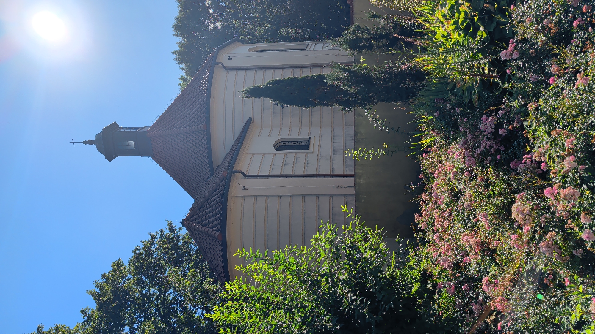 The image depicts a small, light-colored church with a red tiled roof and a dark steeple topped with a cross. The church is surrounded by lush greenery, including trees and a dense bed of pink flowers in the foreground. A wall runs along the base of the church. The sky is clear and blue, with the sun shining brightly, casting lens flares on the right side of the image. The location is identified as the Church of the Assumption of the Blessed Virgin Mary in Pułtusk, Poland. There are no people visible in the image.