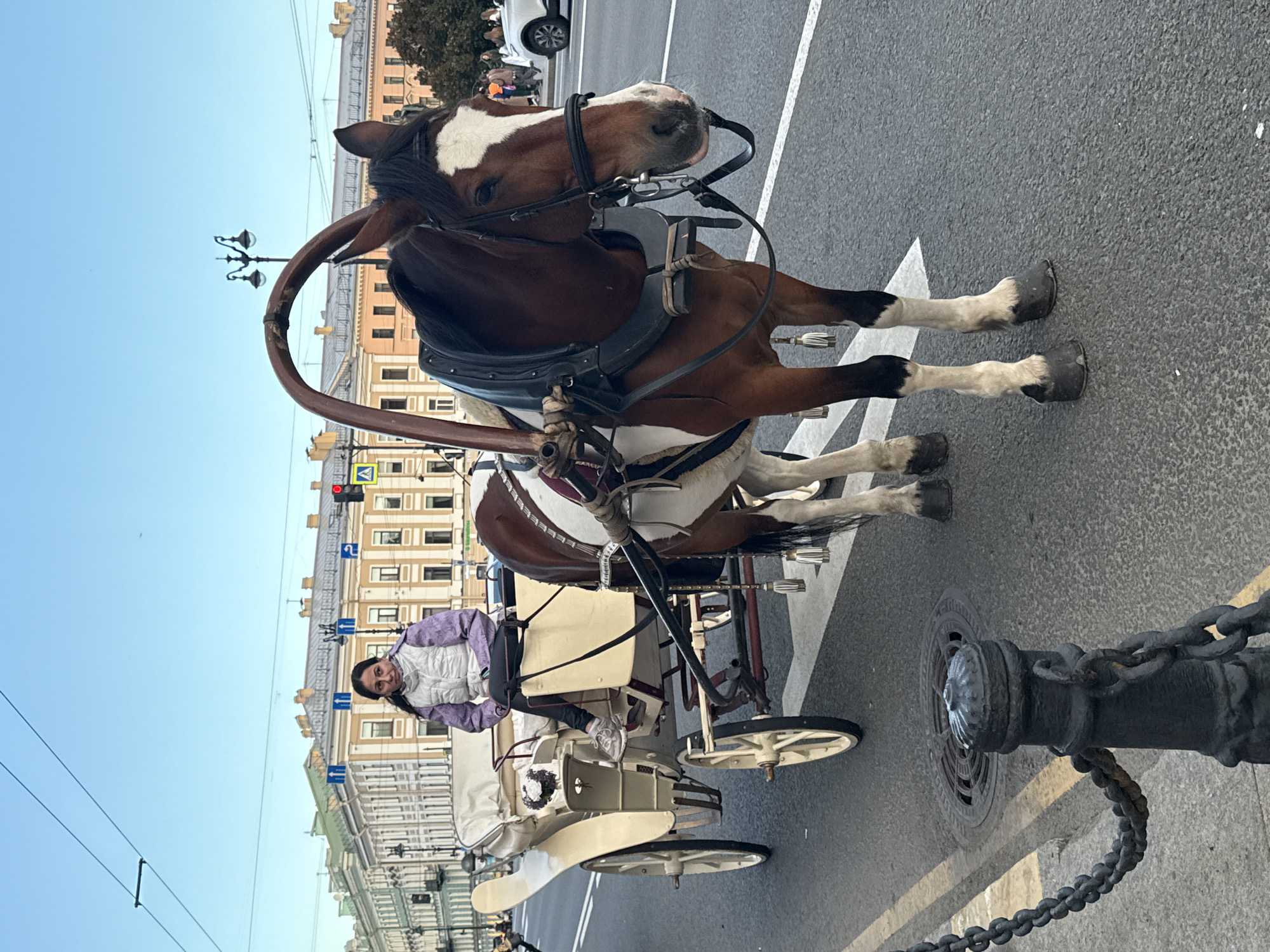 A horse-drawn carriage is seen on a city street, likely in Saint Petersburg, Russia, given the architectural style of the buildings in the background. The horse is a brown and white pinto, harnessed to a cream-colored carriage. A young woman, wearing a light purple jacket and dark pants, sits in the carriage, appearing to be the driver or a passenger. She is looking forward. The carriage has white upholstered seating and decorative tassels. The horse is equipped with a bridle and harness. The street is paved with asphalt, and there are painted lane markings. In the background, classical European-style buildings with ornate facades and windows are visible. Traffic lights and street lamps are also present. A black metal bollard with a chain is in the foreground, bordering the sidewalk. The sky is clear and blue.
