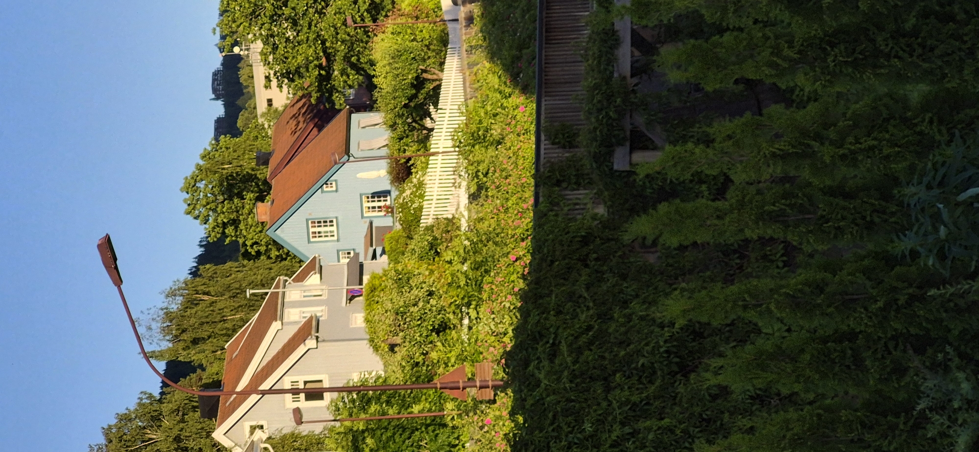 The image shows a bright, outdoor scene of a residential area. In the foreground, a dark green, overgrown hedge with conical trees is visible. Behind the hedge, a wooden railing and fence separates the foreground from a mid-ground with lush green foliage and some pink flowers. A white picket fence runs horizontally across the mid-ground, behind which two houses are visible. The house on the left is light grey with a brown roof, and the house on the right is light blue with a red roof. Both houses have multiple windows. A street lamp with a dark brown fixture and pole stands in the left mid-ground. In the background, more trees and buildings are visible on a hill, with a clear blue sky overhead. The lighting suggests it is late afternoon or early evening, with the sun casting long shadows. There are no people or animals present in the scene.