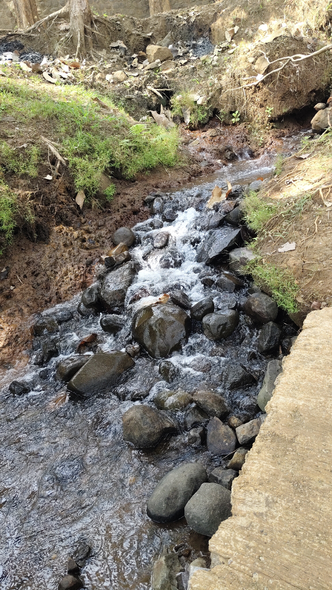 The image depicts a narrow, shallow stream flowing over rocks in a naturalistic setting. The stream bed is composed of dark, wet stones of various sizes, with the water appearing clear and slightly turbulent as it cascades over them. Lush green grass and muddy soil line the banks of the stream. Some dry leaves are scattered around the edges of the water. In the background, there are trees and more rocky terrain. A concrete pathway or structure is visible on the right side of the image, bordering the stream. The scene suggests an outdoor environment, possibly a park or natural area. The provided context indicates the location is the city of Kresek, Indonesia.