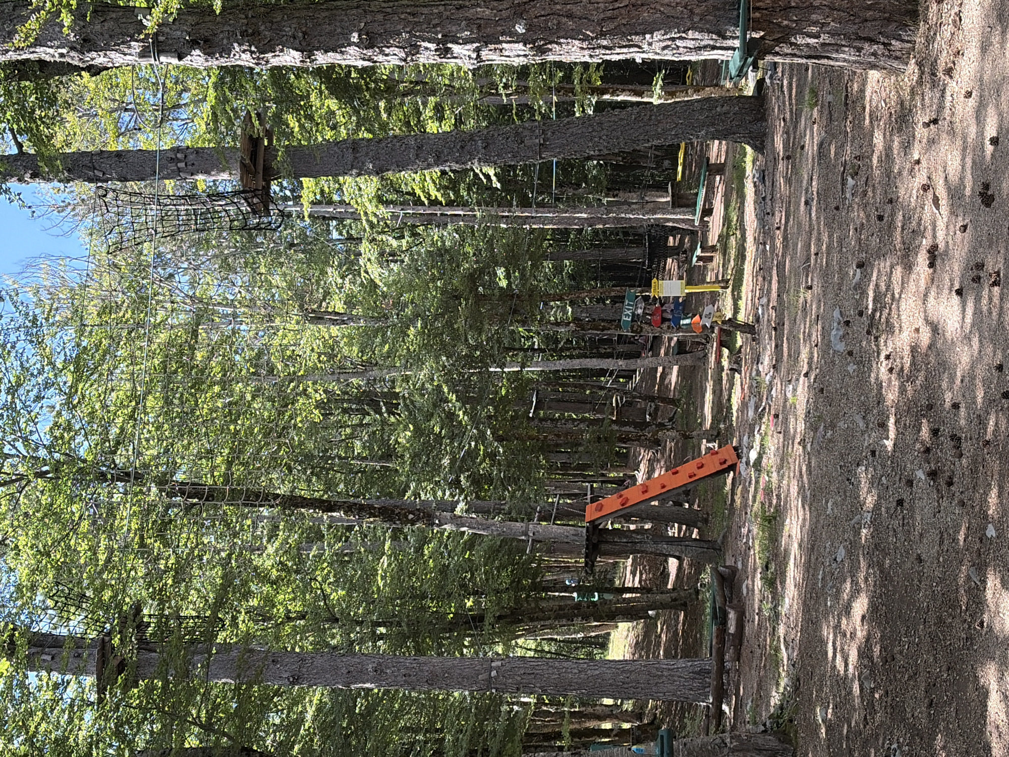 This image captures an outdoor adventure park situated within a dense forest in the city of Dolovi, Montenegro, under clear, bright daylight. Numerous tall, slender trees with verdant green foliage dominate the scene, casting dappled sunlight and shadows across the forest floor.
Elements of a high-ropes course are prominently featured. Multiple wooden platforms are secured to tree trunks at varying elevations. Rope nets, some serving as vertical ladders and others as suspended pathways, connect these platforms or hang from them; a large black net is visible in the upper right. Metal cables and ropes are strung horizontally between trees, indicating routes for participants. An orange climbing wall or ramp, equipped with handholds, leans against a tree trunk in the mid-left foreground.
The ground consists of reddish-brown soil mixed with small stones and a significant scattering of pine cones. Patches of green grass are visible in sunlit areas. Several rustic wooden benches are present on either side of a clear path in the mid-ground, suggesting designated resting areas.
In the central mid-ground, a yellow pole displays an "EXIT" sign in white text, with additional smaller, colorful signs affixed below it. Two individuals are discernible near this sign. One person, partially obscured by the sign, is wearing a red upper garment, possibly a safety vest, and appears to be wearing a blue helmet, facing away from the viewer. A second, partially obscured individual wearing a blue upper garment is visible further behind. Their specific activities are not clearly identifiable. The sky, visible through gaps in the tree canopy, is clear and blue.