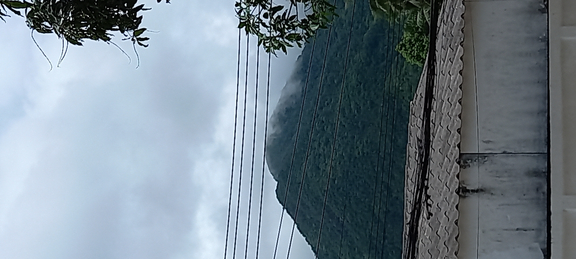 The image shows a mountain partially shrouded in mist. In the foreground are power lines and a building with corrugated metal and concrete construction. A tree branch with leaves is visible in the upper left corner. The sky is overcast. Based on the location provided, the scene is likely in ตำบลเกาะพะงัน, Thailand.