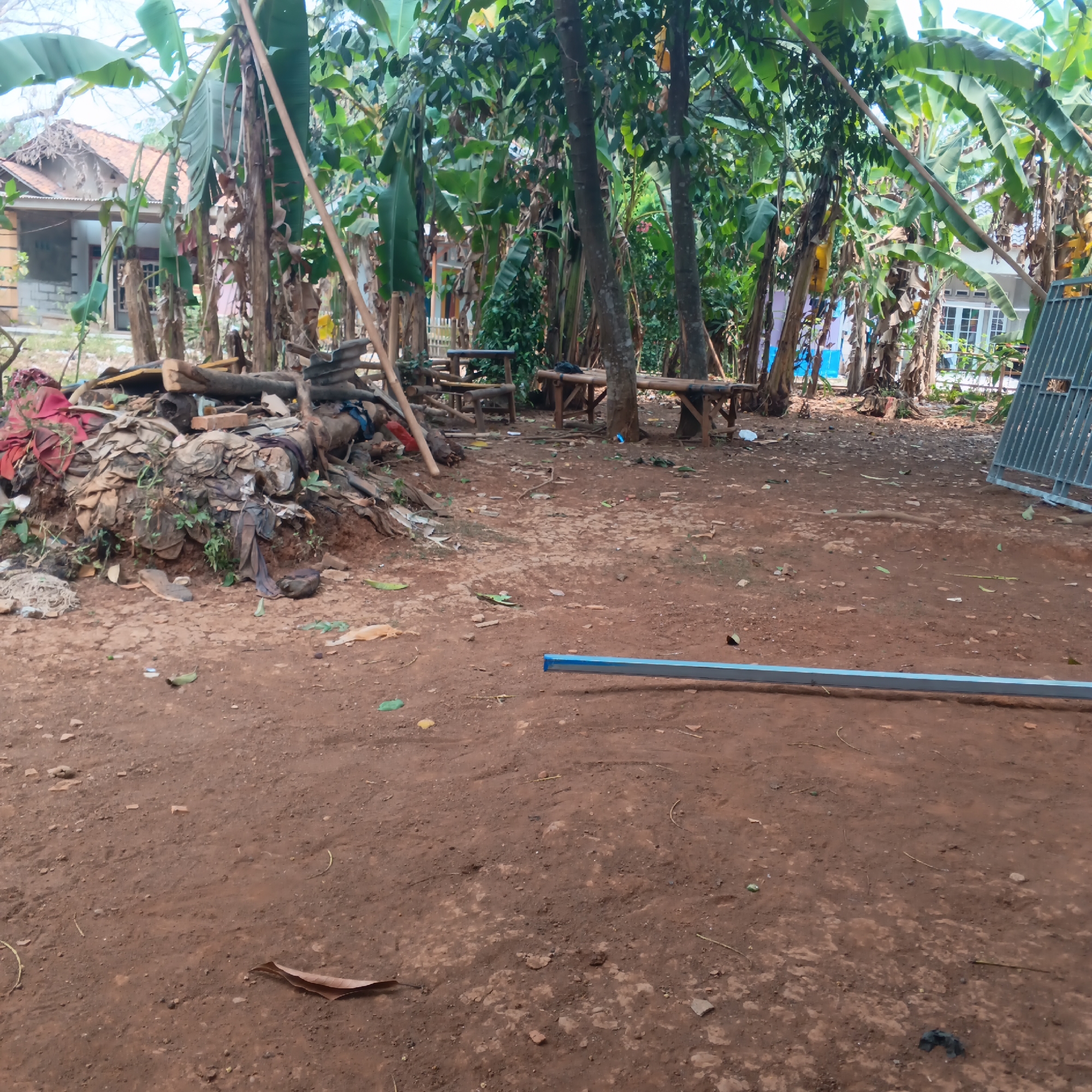 The image depicts an outdoor scene in Jayasampurna, Indonesia, characterized by a pile of discarded materials in the foreground, predominantly composed of fabrics, wood, and what appears to be roofing debris. Behind this pile, a cluster of banana trees dominates the midground, their large leaves creating a dense canopy. Scattered among the trees are several simple wooden benches and tables, suggesting a rustic seating area. In the background, a residential building with a tiled roof and visible windows is partially obscured by the foliage. A metal fence, possibly for construction or security, is visible on the far right of the image. The ground is a reddish-brown dirt surface, with scattered leaves and small stones. A metal pipe, likely a construction material, lies horizontally across the foreground. The overall impression is one of a somewhat unkempt, tropical environment with signs of both domestic habitation and discarded materials.