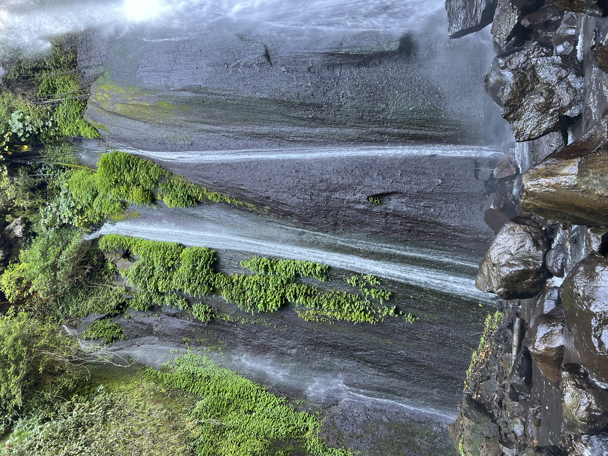 This is a photograph of a lush waterfall cascading down a dark, rocky cliff face in Busungbiu, Indonesia. The water flows in multiple streams, with the main fall on the right side of the image appearing wider and more powerful. The rocks are covered in patches of vibrant green moss and other small plants, clinging to the damp surfaces. The foreground is filled with wet, dark rocks and shallow water, indicating the base of the waterfall. The overall impression is one of a natural, untouched environment with a strong presence of water and vegetation. There are no people or animals visible in the image. The lighting suggests it is daytime, likely overcast or shaded, creating a soft, diffused light.