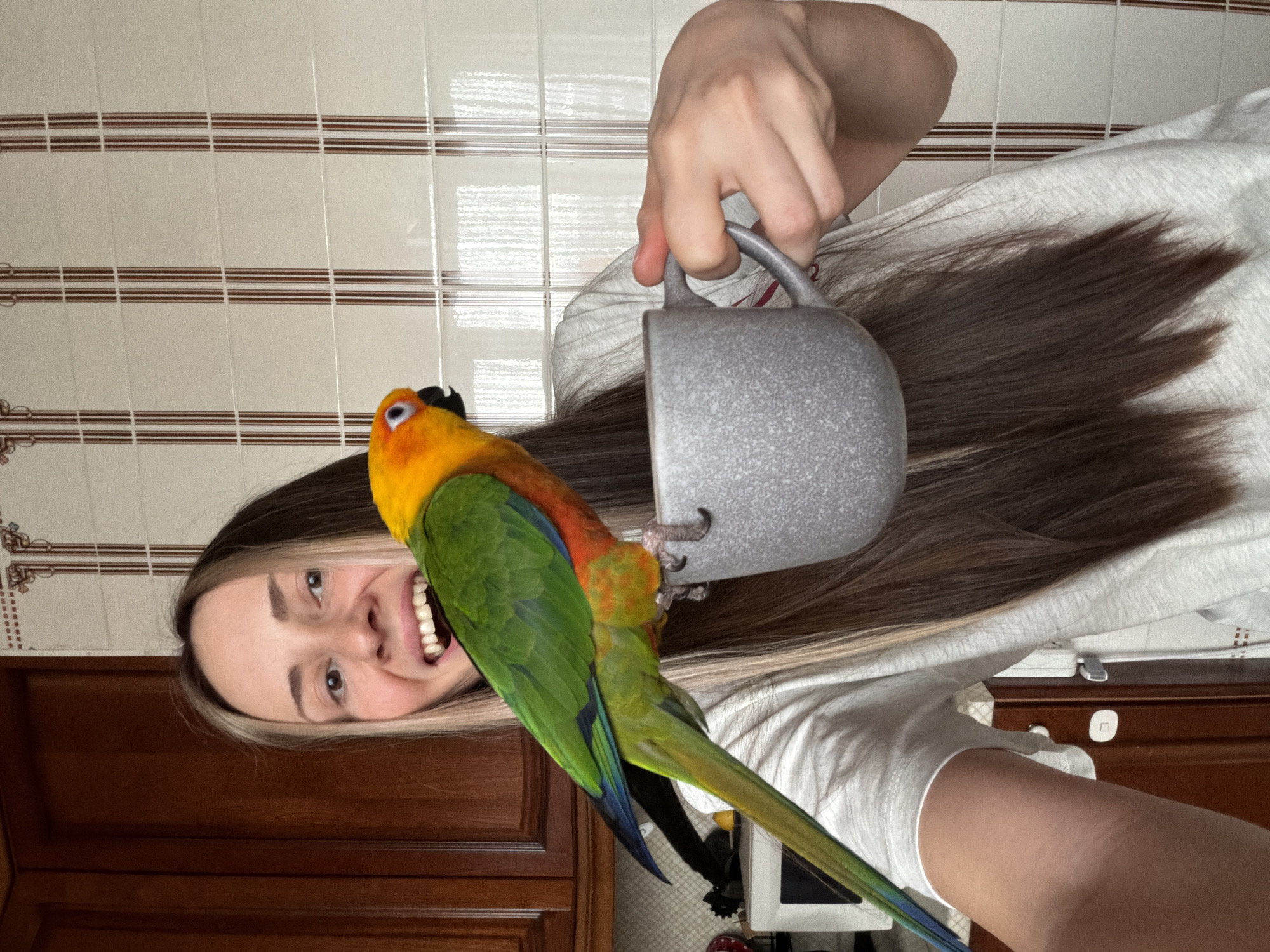 A woman is holding a gray mug while a sun conure bird perches on it. The woman is smiling and appears to be in a kitchen with brown cabinets and white tiles on the wall. There is no evidence to support that this image was taken in the city of Khimki, Russia.