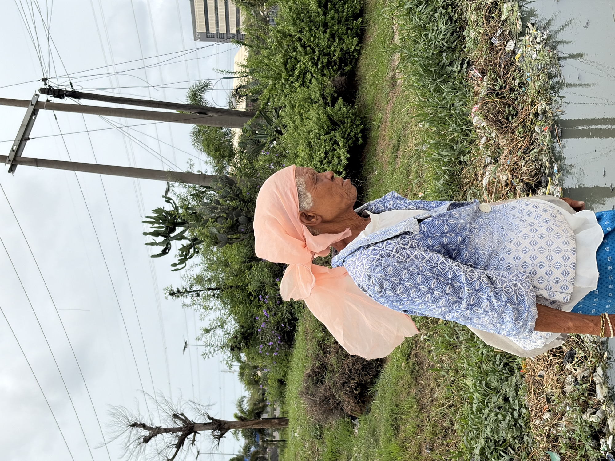 An outdoor, vertically oriented photograph taken in Igboefon, Nigeria, features an elderly person, likely female, positioned on the right side of the frame. She has dark, wrinkled skin and is looking upwards and to the left with a contemplative expression. She wears a light peach-colored head covering and a blue and white patterned long-sleeved top over a white garment. A light-colored beaded bracelet is visible on her right wrist.
The background presents a blend of natural vegetation and urban infrastructure under an overcast sky. Multiple utility poles and a dense network of power lines dominate the upper left portion of the image. Lush green bushes, tall grass, and various trees, including one with bare branches and another with large, flat leaves resembling cactus, fill the middle ground. In the distance, a modern, multi-story building with a dark facade is visible, bearing faint text that appears to read "Guara" or "Qura" on its side.
The ground immediately adjacent to the person shows a patch of green grass giving way to drier vegetation and scattered litter or debris, indicating a semi-urban or roadside setting. The lighting suggests it is daytime, though the heavy cloud cover diffuses any direct sunlight. The scene captures an individual observing her surroundings in a landscape marked by both natural growth and human development, with signs of environmental neglect.