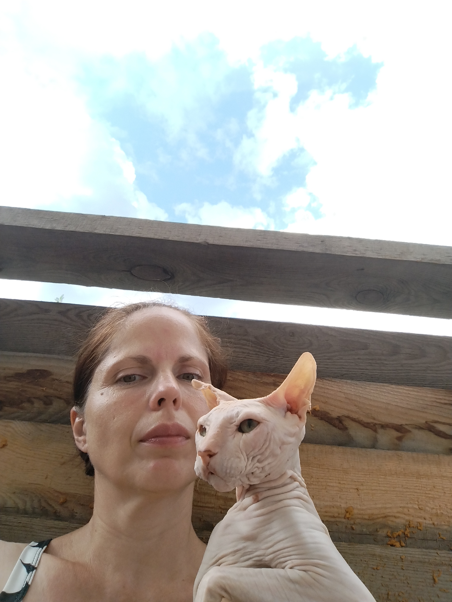 A medium shot captures a woman with auburn hair holding a Sphynx cat. The woman is looking directly at the camera with a neutral expression, and her left shoulder is visible. The cat, positioned to the right of the woman, is looking to its left, its light-colored skin folded and wrinkled. Both subjects are framed by weathered wooden planks that create a rustic background. Above the planks, a bright sky with scattered white and blue clouds is visible. The scene appears to be outdoors, potentially in a rural or semi-rural setting within Zavodoukovsk, Russia, suggested by the weathered wood and natural sky.