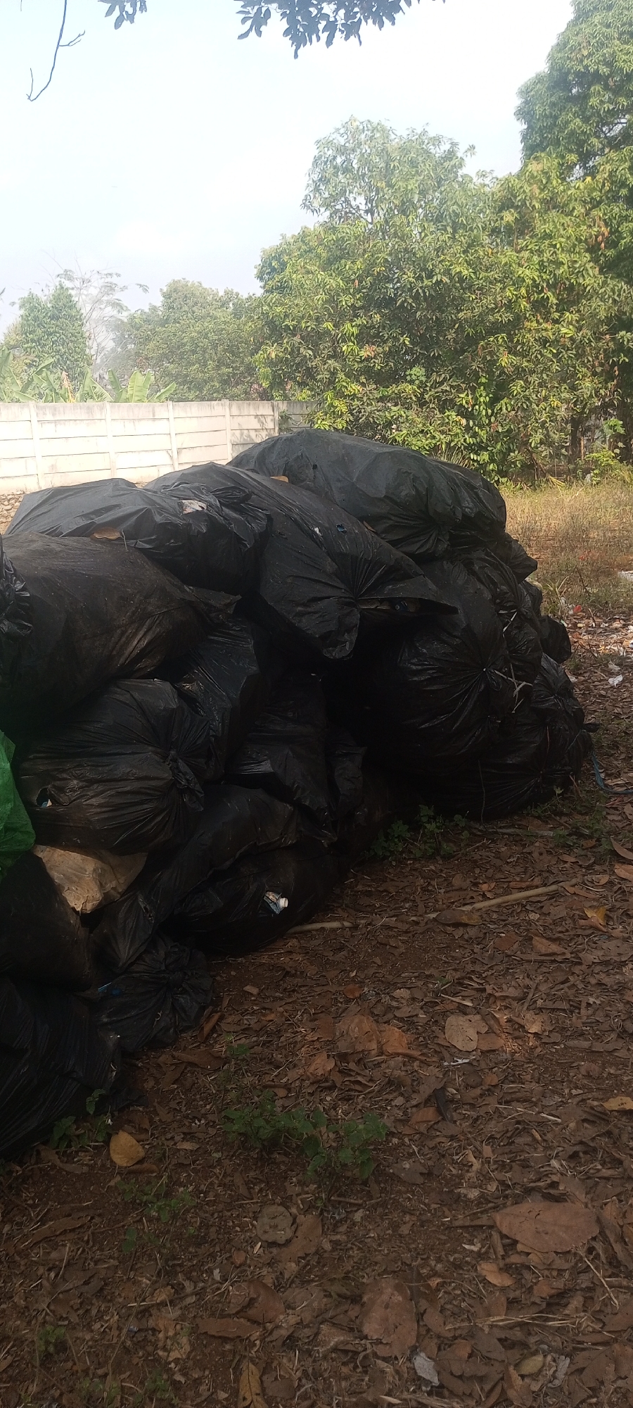 A pile of black garbage bags is situated in an outdoor environment, possibly in the city of Taman Rahayu, Indonesia. The bags are of various sizes and shapes, some appear full and tightly packed, while others are looser. They are stacked against each other, forming a mound. In the background, a low concrete wall can be seen, beyond which are lush green trees. The ground around the garbage bags is covered with fallen leaves and some sparse vegetation. The lighting suggests it is daytime. There are no people visible in the image.
