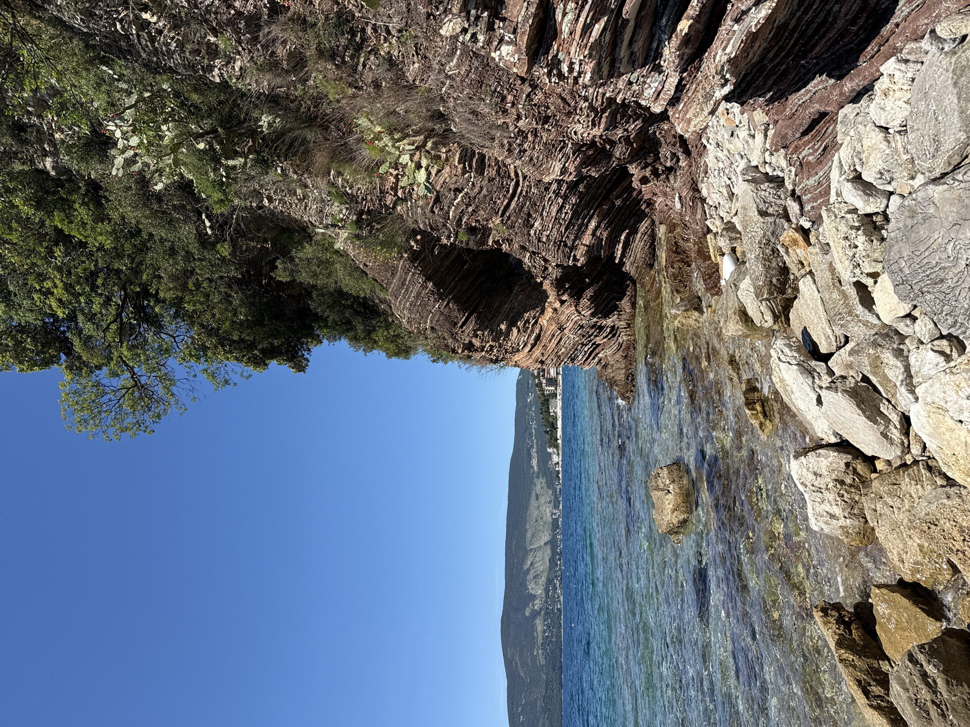 The image depicts a coastal scene in Zelenika, Montenegro. The view is divided between the sky and the water, with land features present on both sides. On the left, a clear blue sky is partially obscured by green tree foliage. The coastline consists of a rocky cliff with layered rock formations, interspersed with vegetation including cacti. The water is clear and turquoise, revealing rocks beneath the surface. In the distance, a mountain is visible along the coastline, dotted with buildings. The photograph appears to have been taken during the daytime under clear weather conditions.