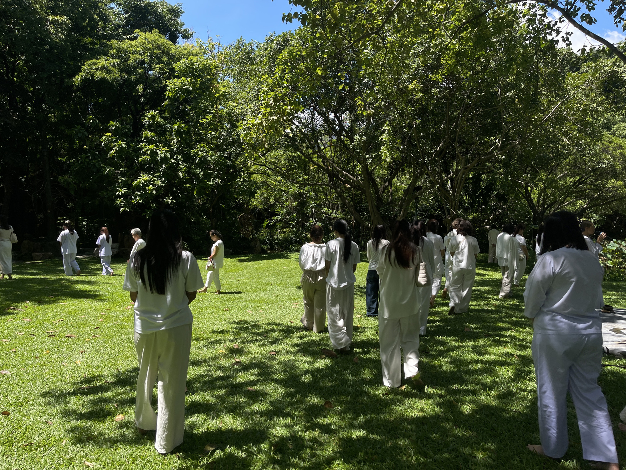 A group of people wearing white clothing are standing and walking on a grassy lawn in an outdoor, tree-lined area. The trees are large and leafy, with sunlight filtering through the branches, casting shadows on the ground. The sky above is blue with some clouds. The people appear to be participating in an activity or event together. The scene suggests a peaceful and serene environment, possibly a park or garden.