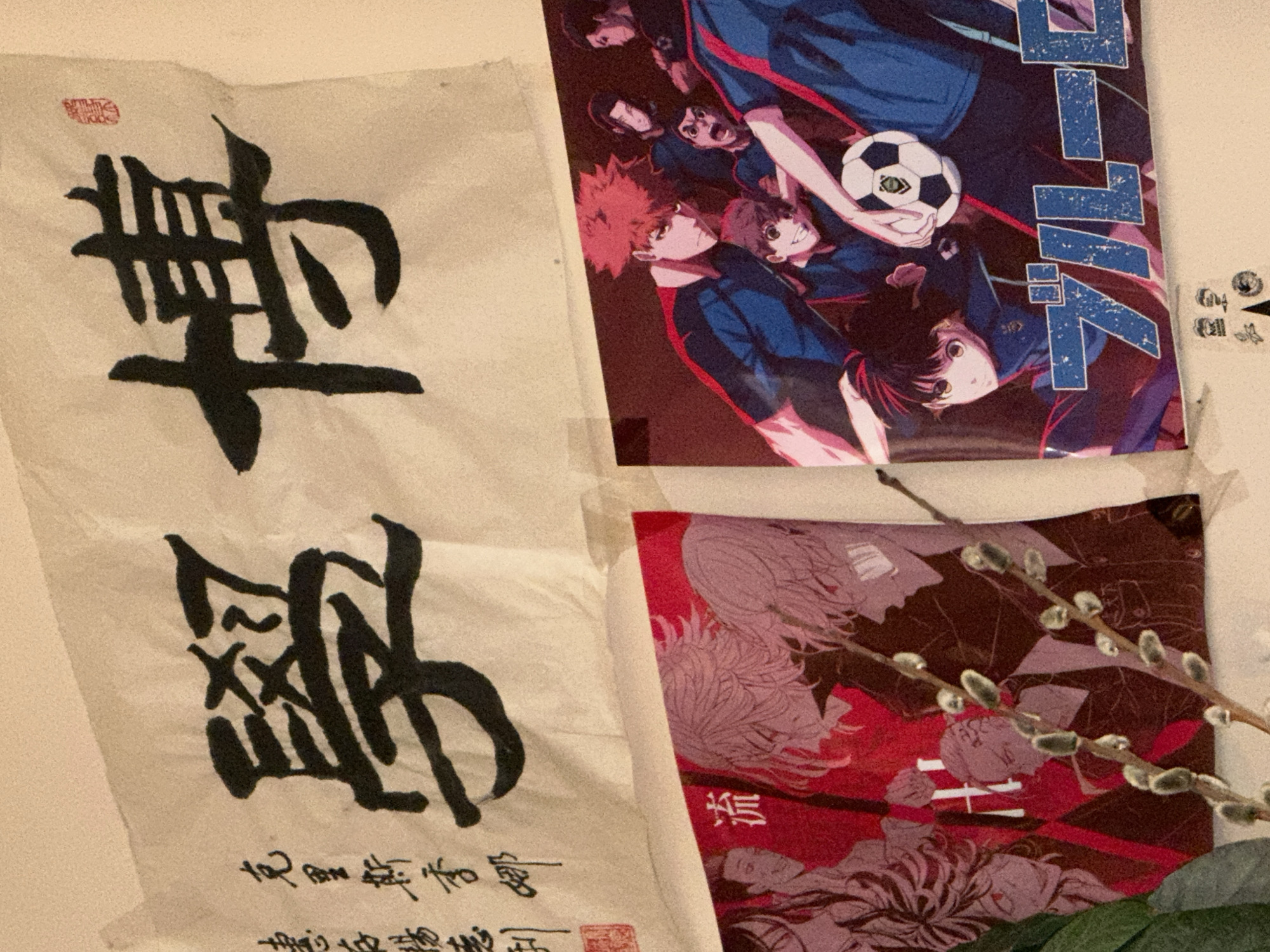 In an indoor scene, a wall displays two anime-style posters. The top poster is a scroll with Chinese calligraphy. The large characters "學" and "博" are prominently featured in black ink. To the left of the characters, there are smaller vertical lines of text. A small red seal is visible near the top right corner of the scroll.
Below the scroll, two smaller posters are hung. The left poster features a red background with stylized illustrations of anime characters. One character has blonde hair and is looking to the side, while another has darker hair and is looking forward. The word "流" is visible in white Japanese text on the left side of this poster.
The right poster is also an anime illustration with a dark background and depicts a group of boys in blue and red soccer uniforms. They are gathered around a soccer ball. The text "ブルーロック" (Blue Lock) is written in large blue Japanese characters at the bottom of this poster.
In the foreground, two branches of pussy willow with their fuzzy buds are positioned in front of the lower posters, partially obscuring them. The overall lighting suggests an indoor environment, likely a room. The posters are attached to the wall with tape.